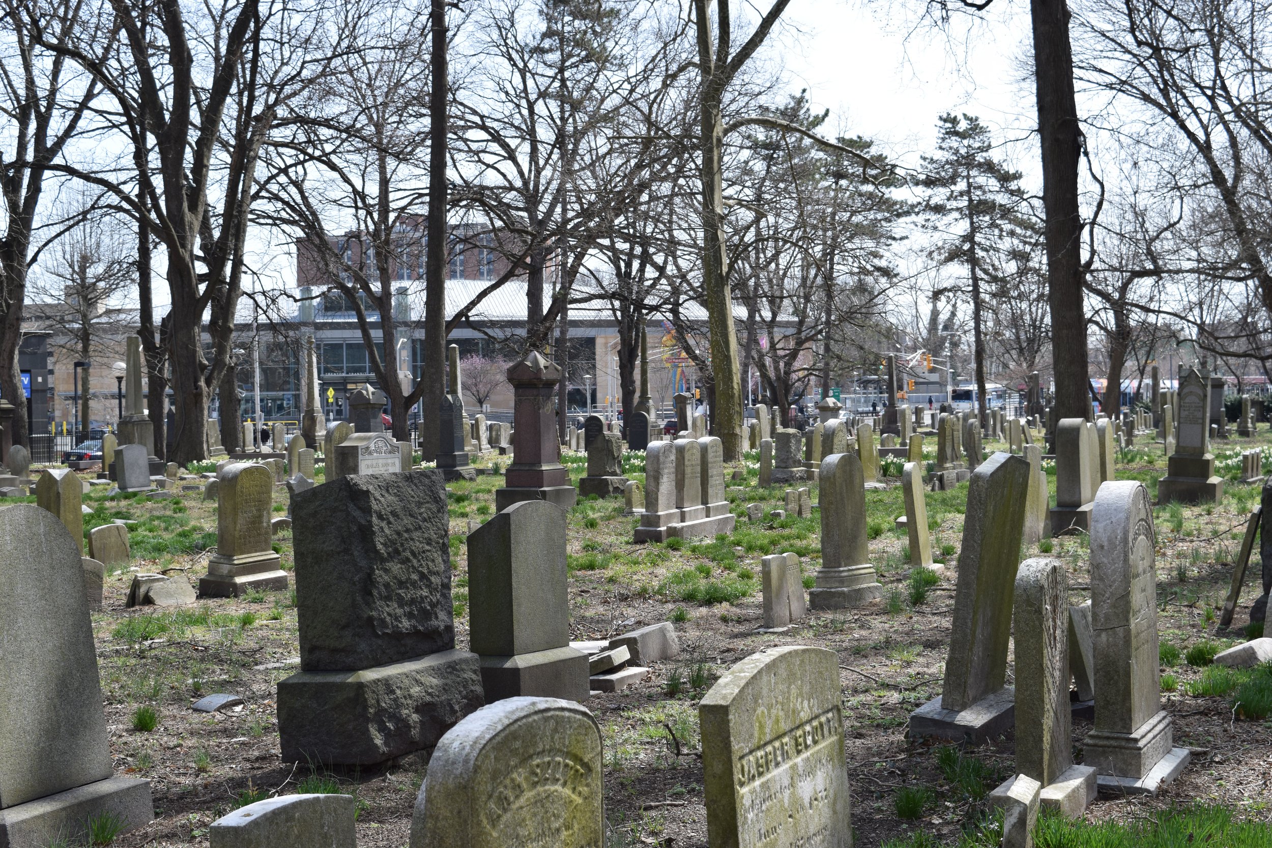 Mercer Cemetery