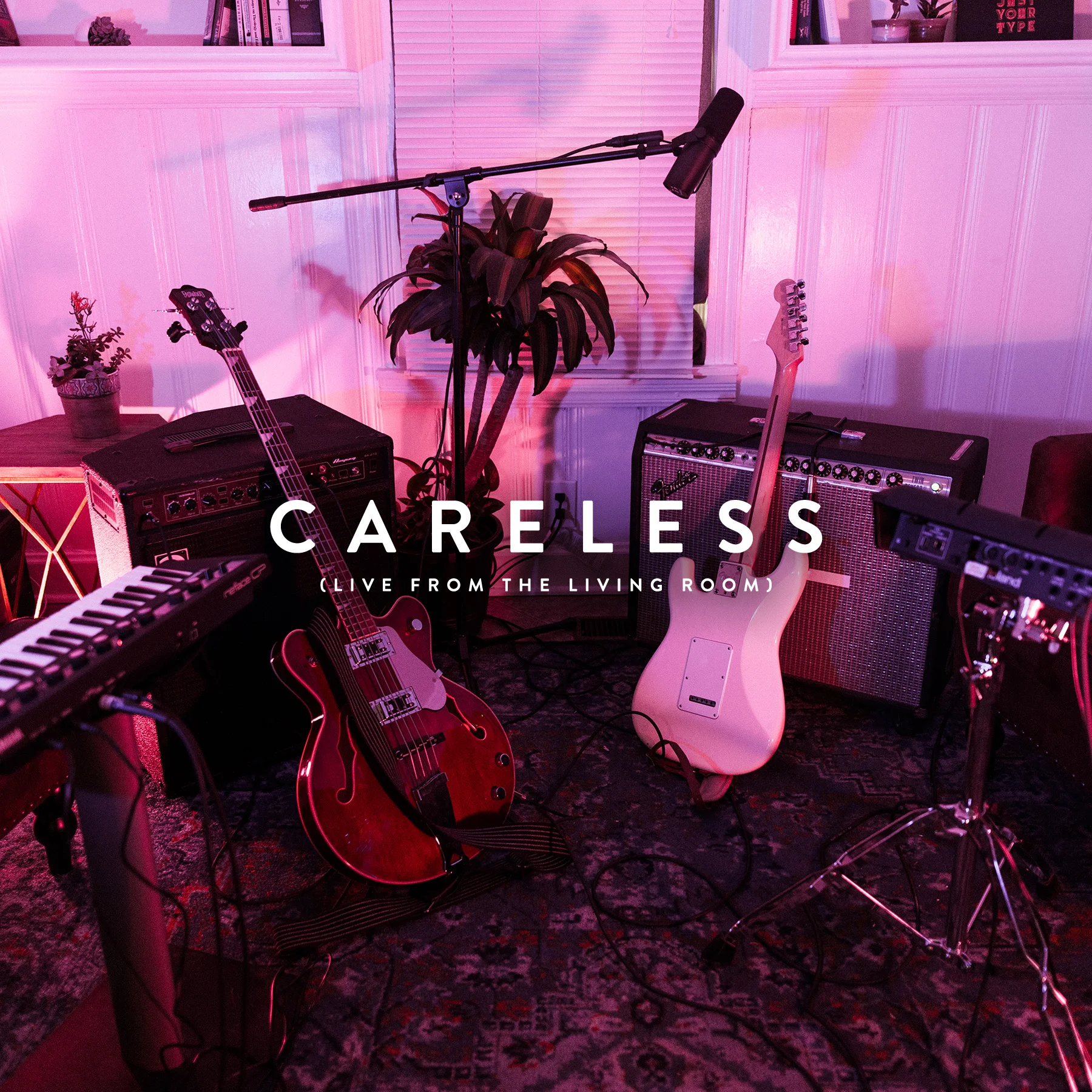 carelessacoustic.jpg