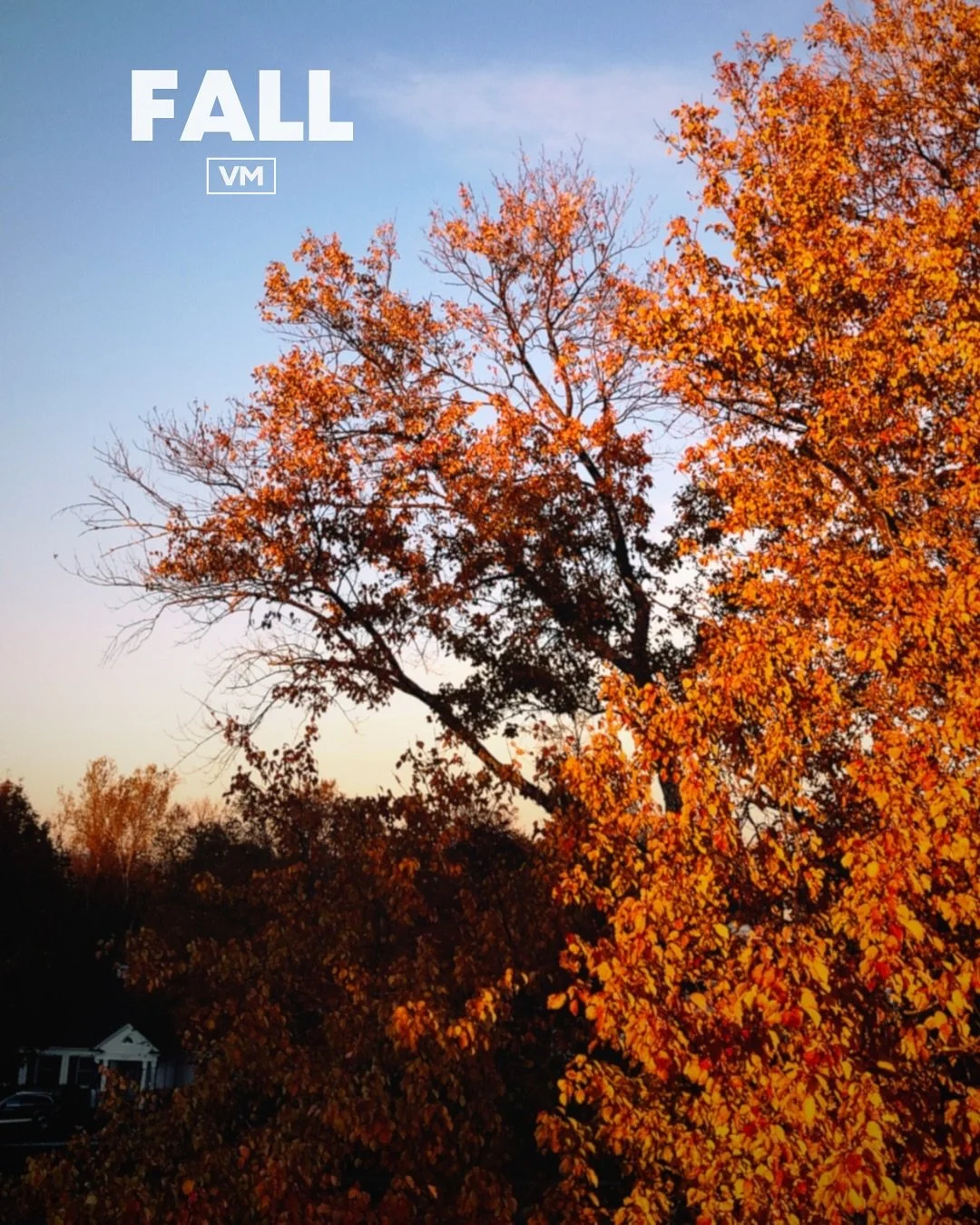 New edition of our fall playlist is out now&hellip; give it a listen on Spotify!