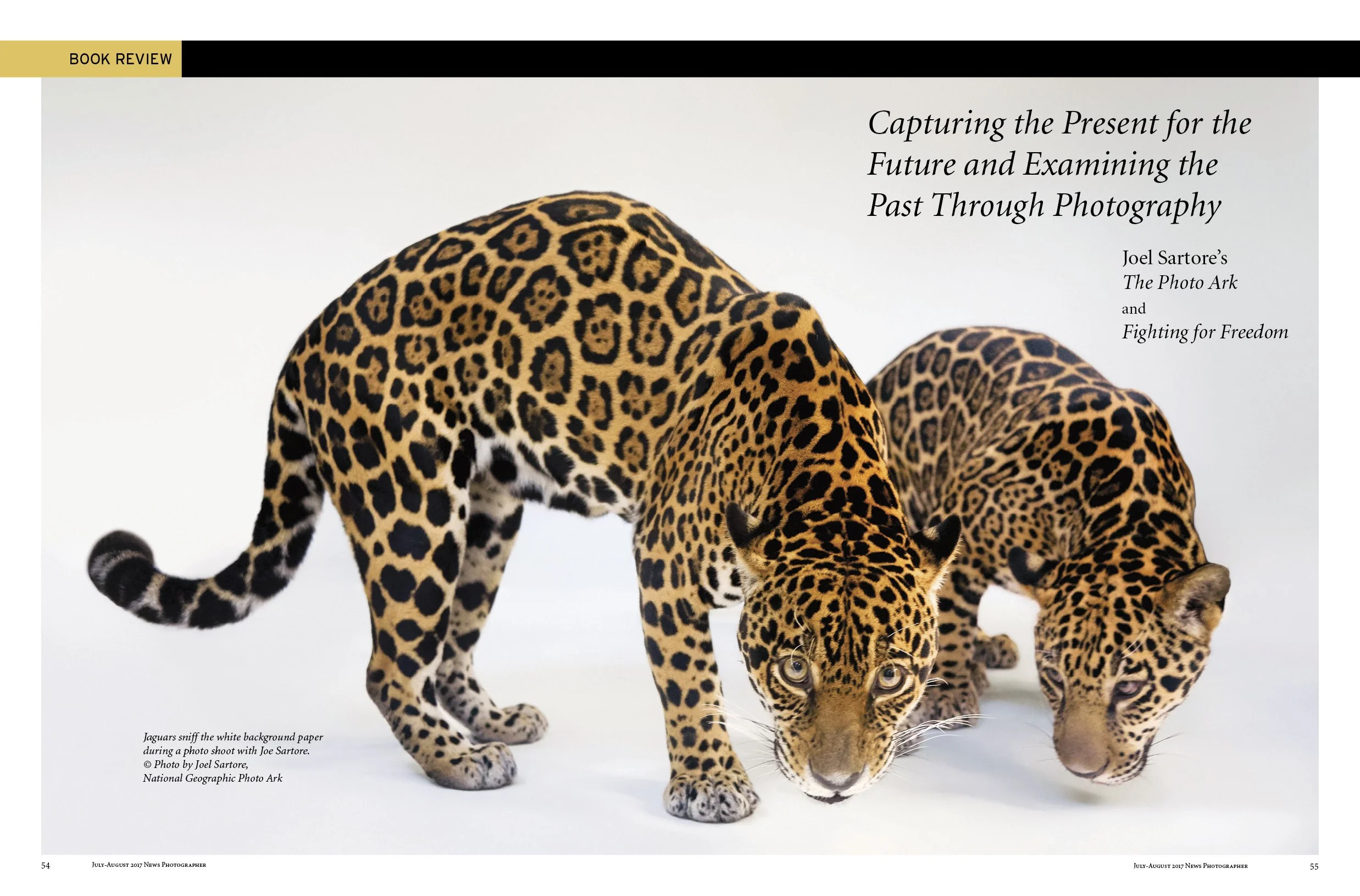 NP-Jul-Aug-17 photo ark.jpg