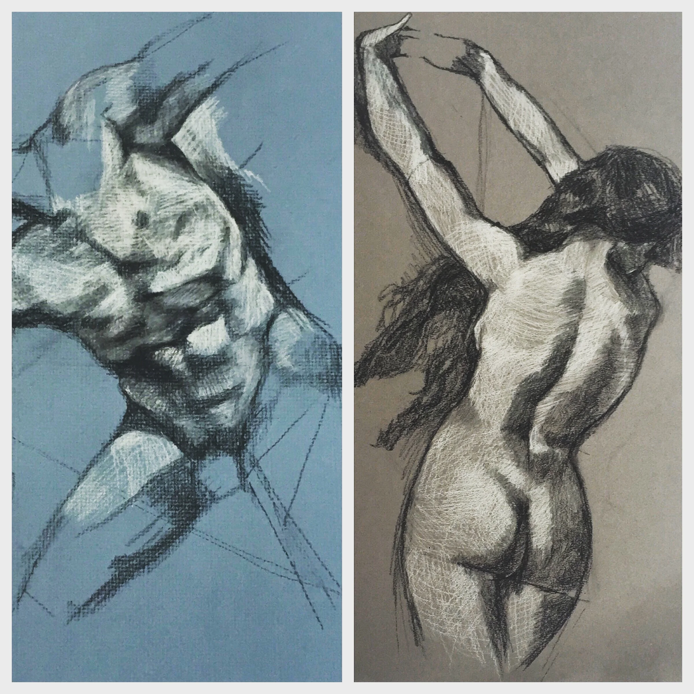Studies