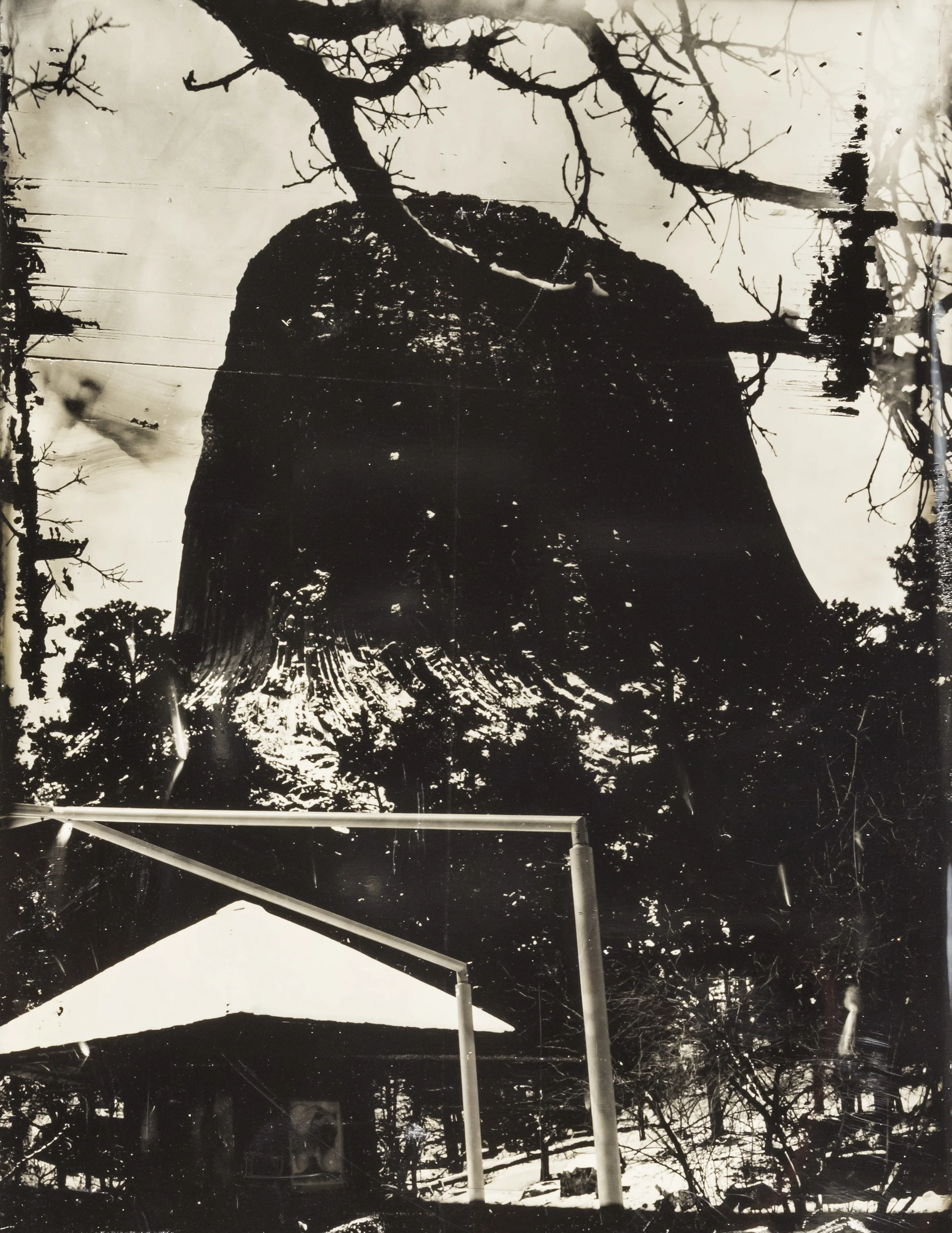 WY collodion 6.jpg