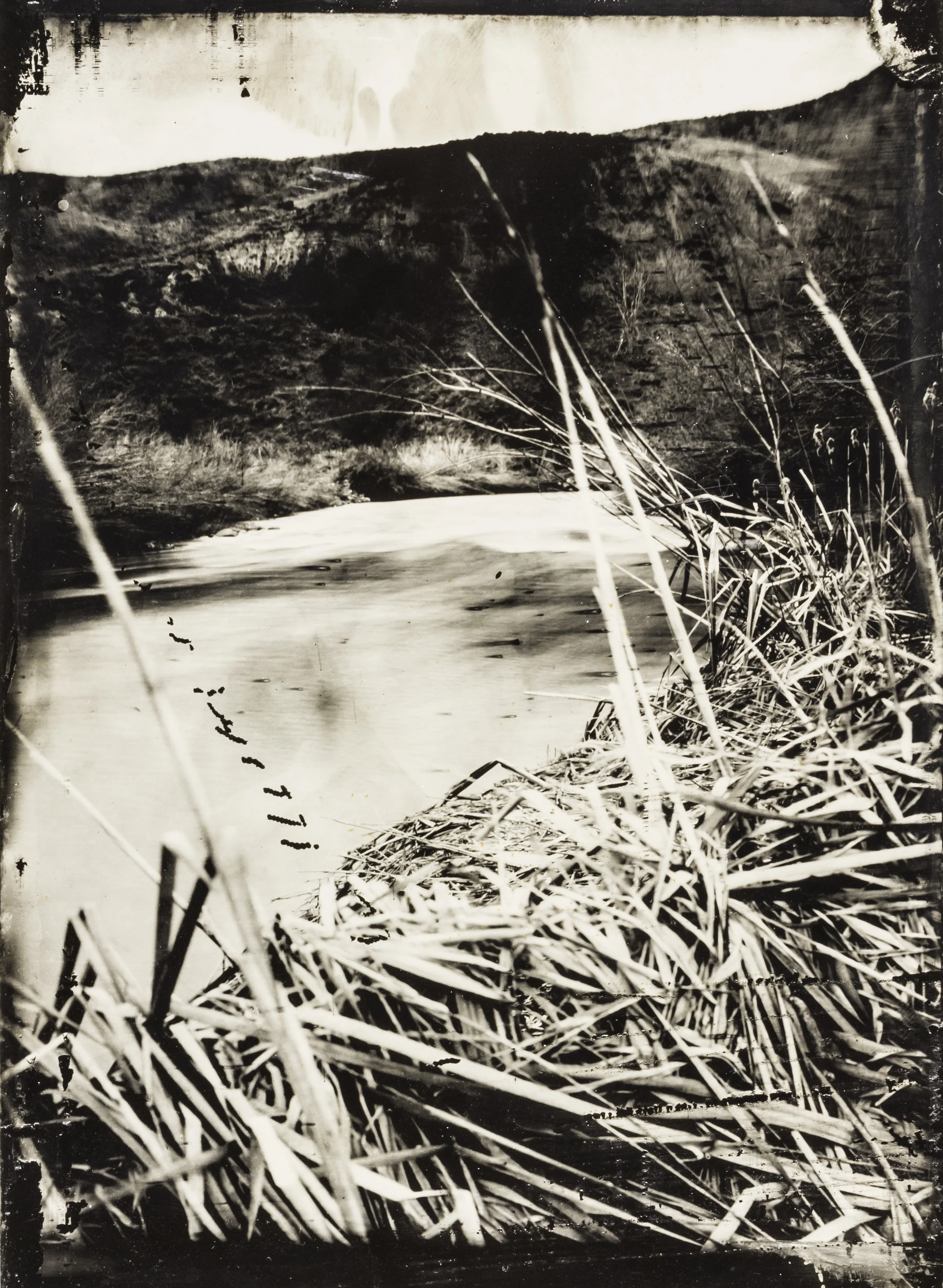 WY collodion 9.jpg