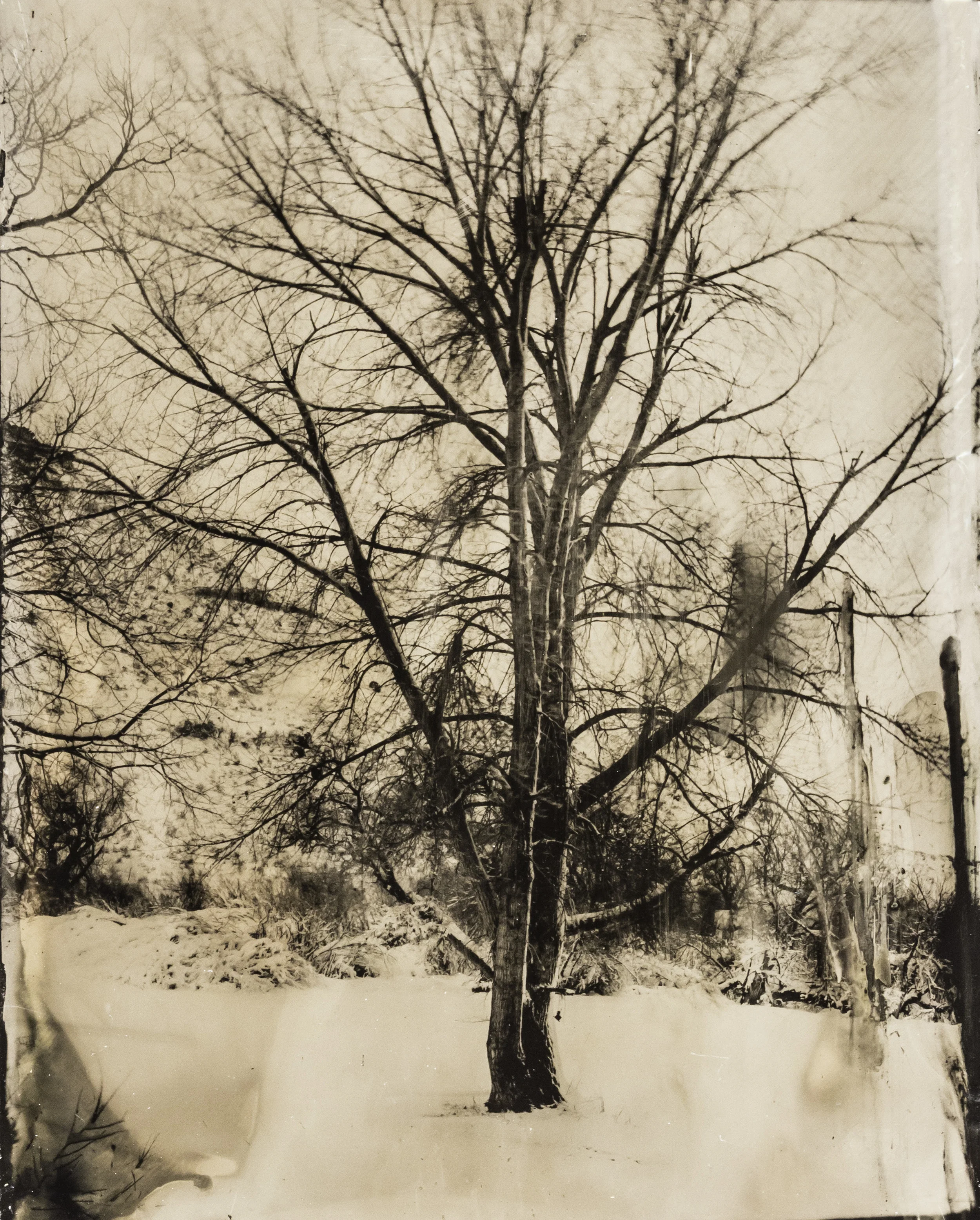 WY collodion 11.jpg