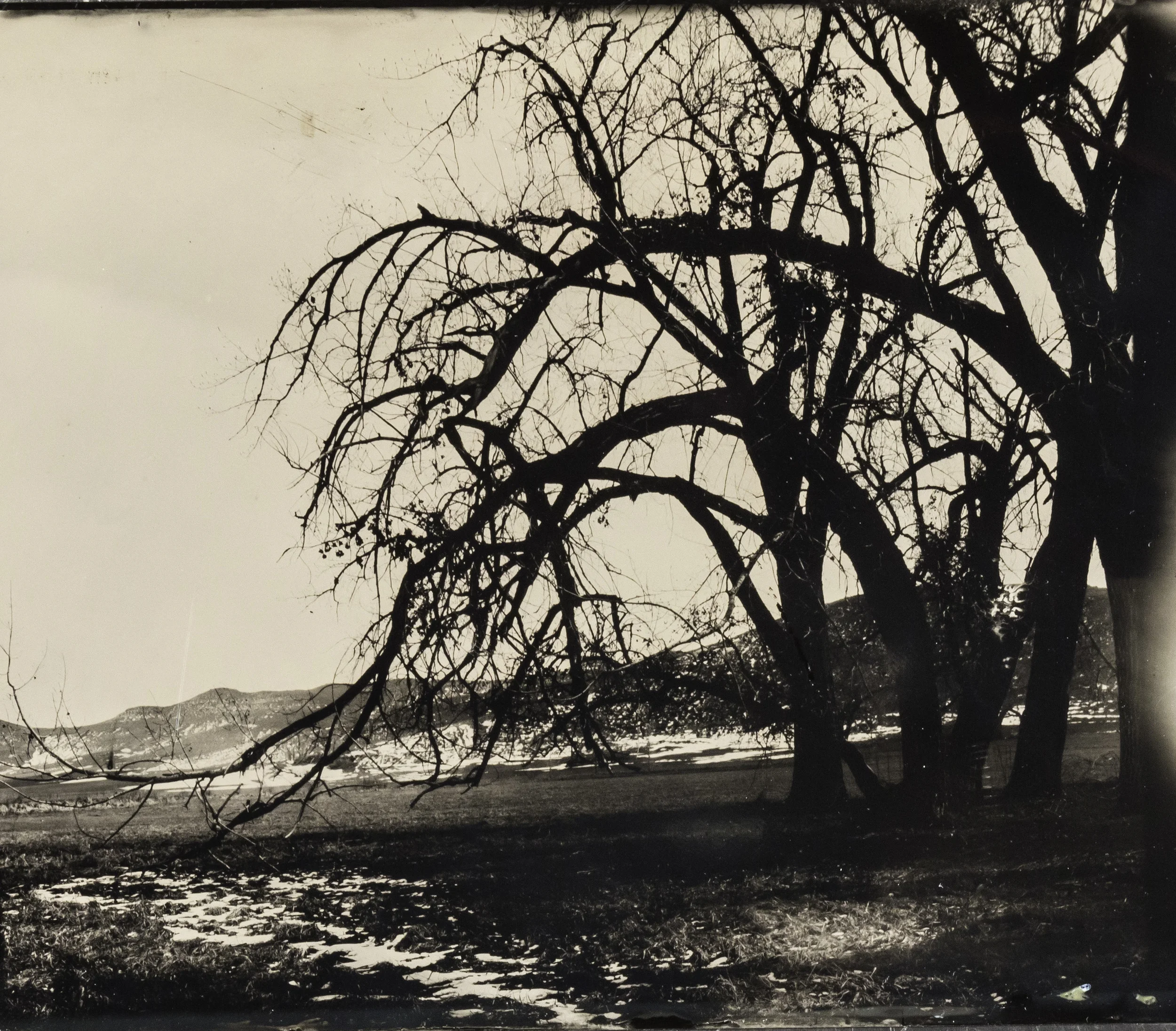 WY collodion 13.jpg