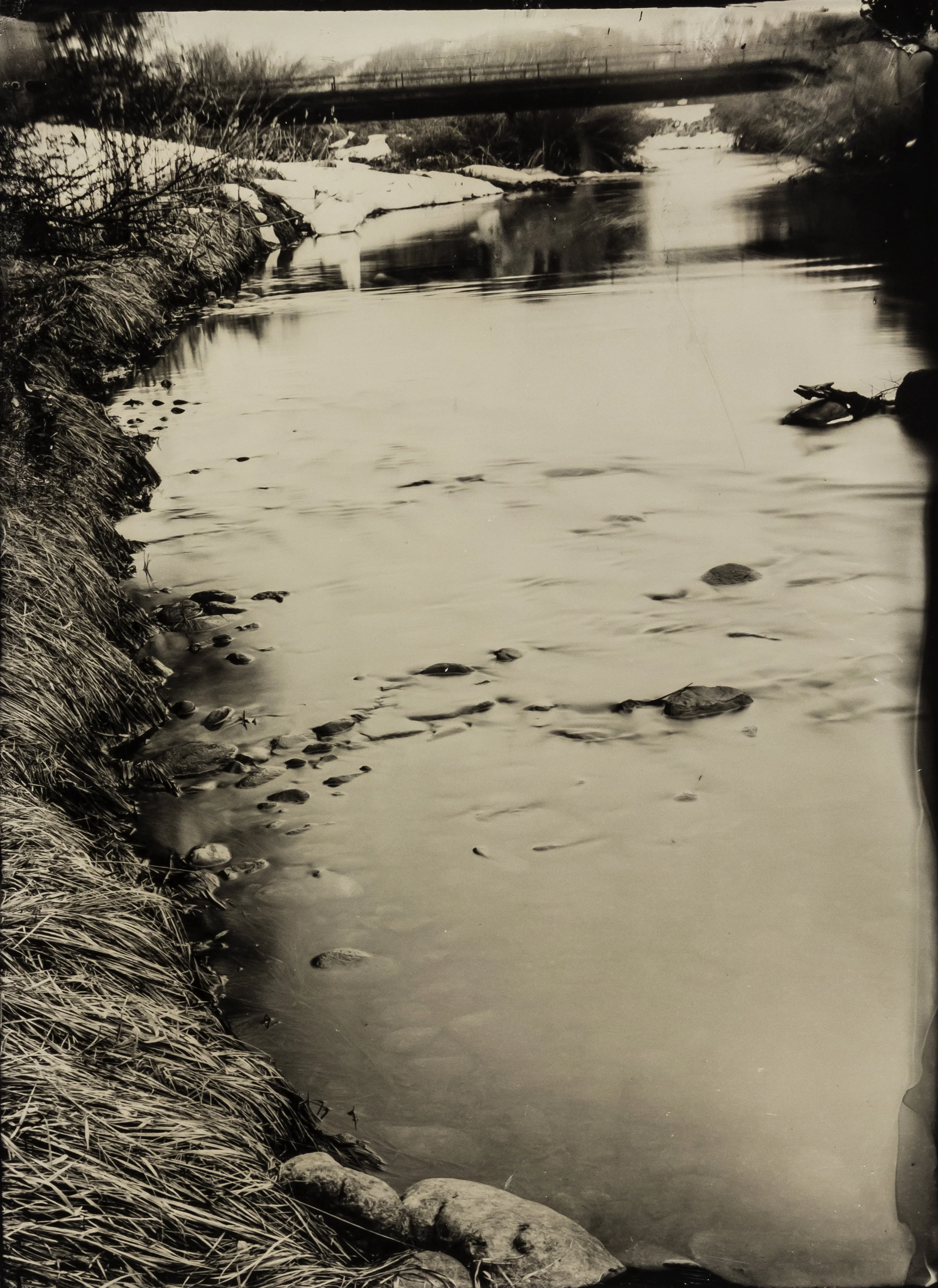 WY collodion 21.jpg