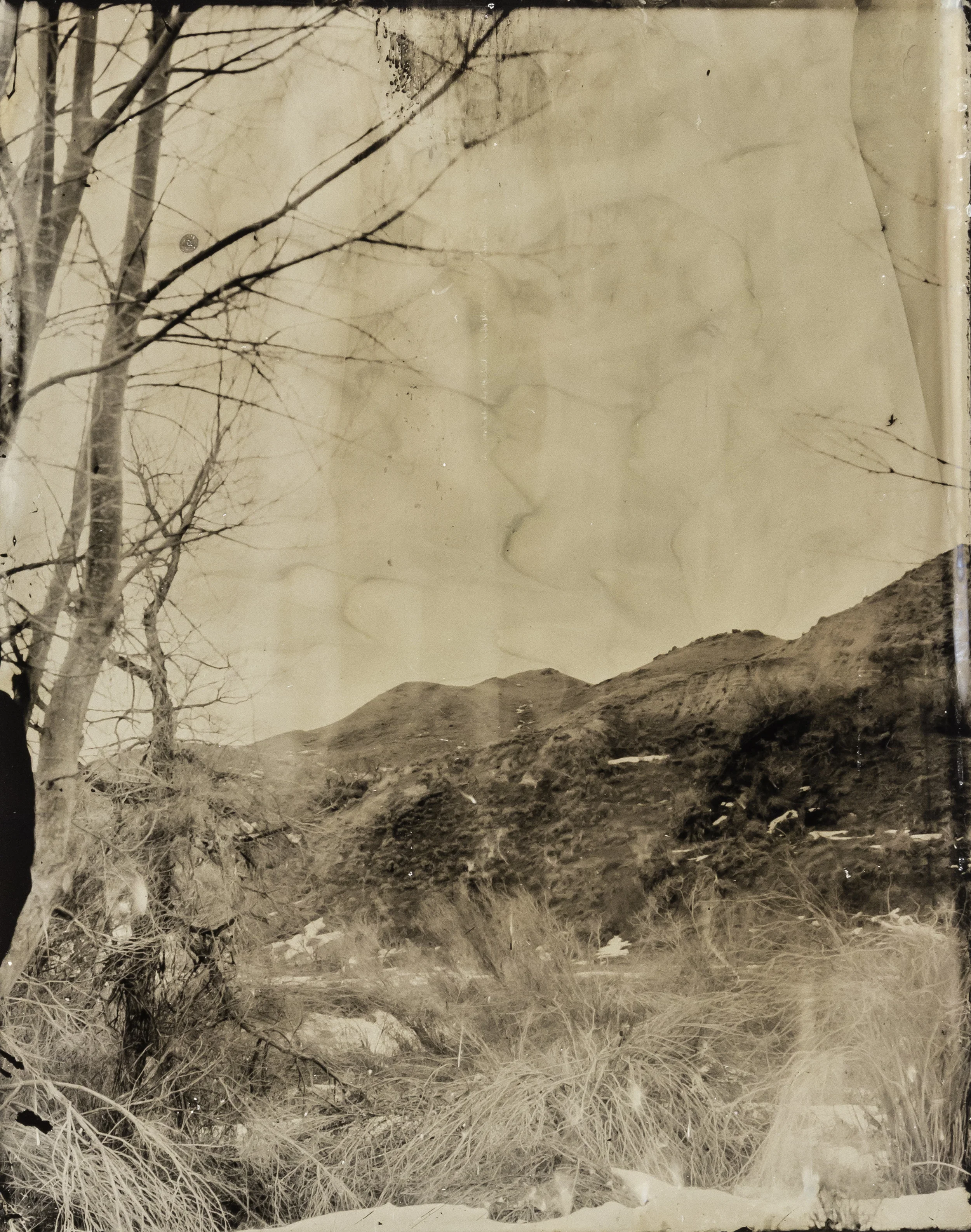 WY collodion 23.jpg