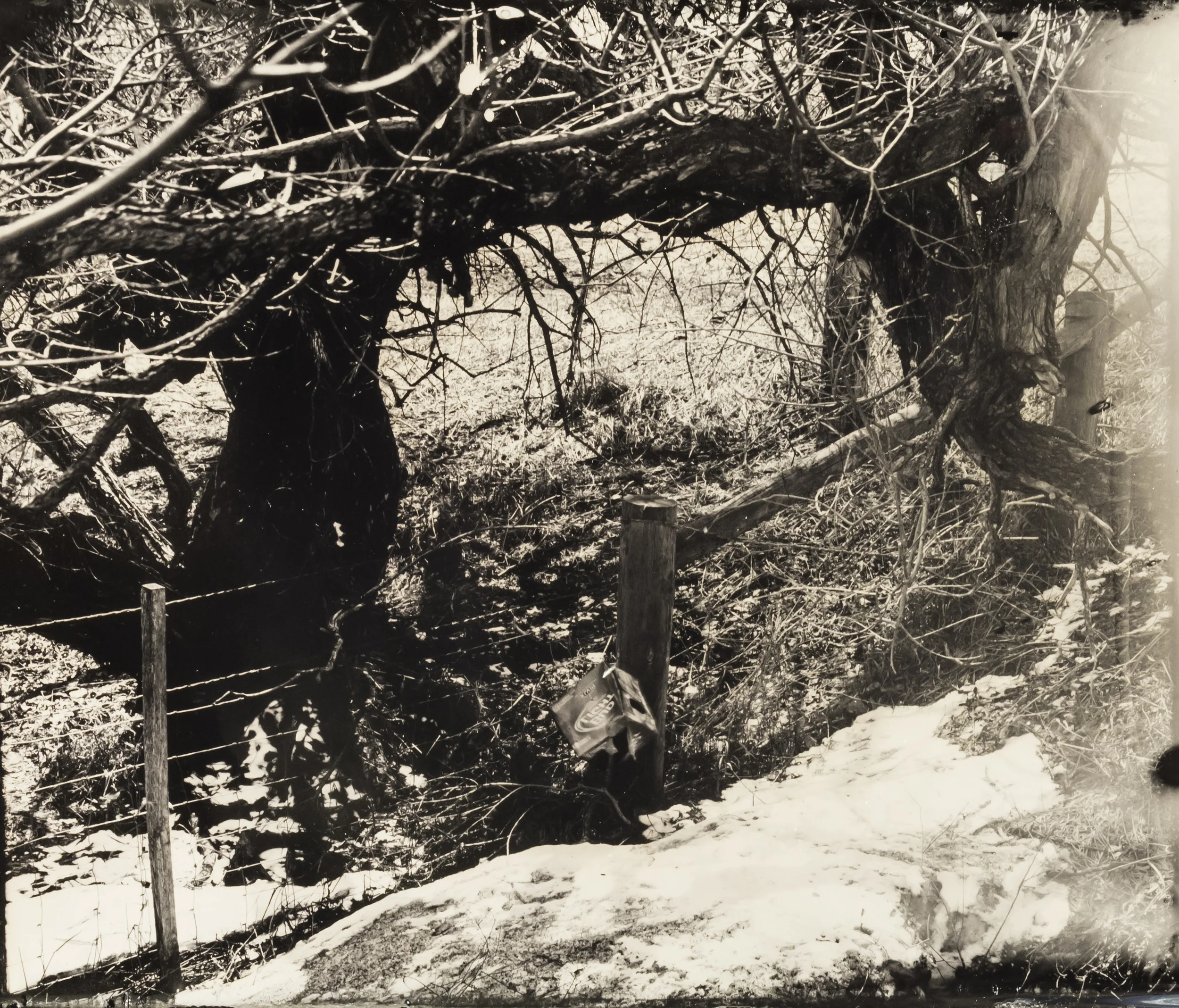 WY collodion 31.jpg