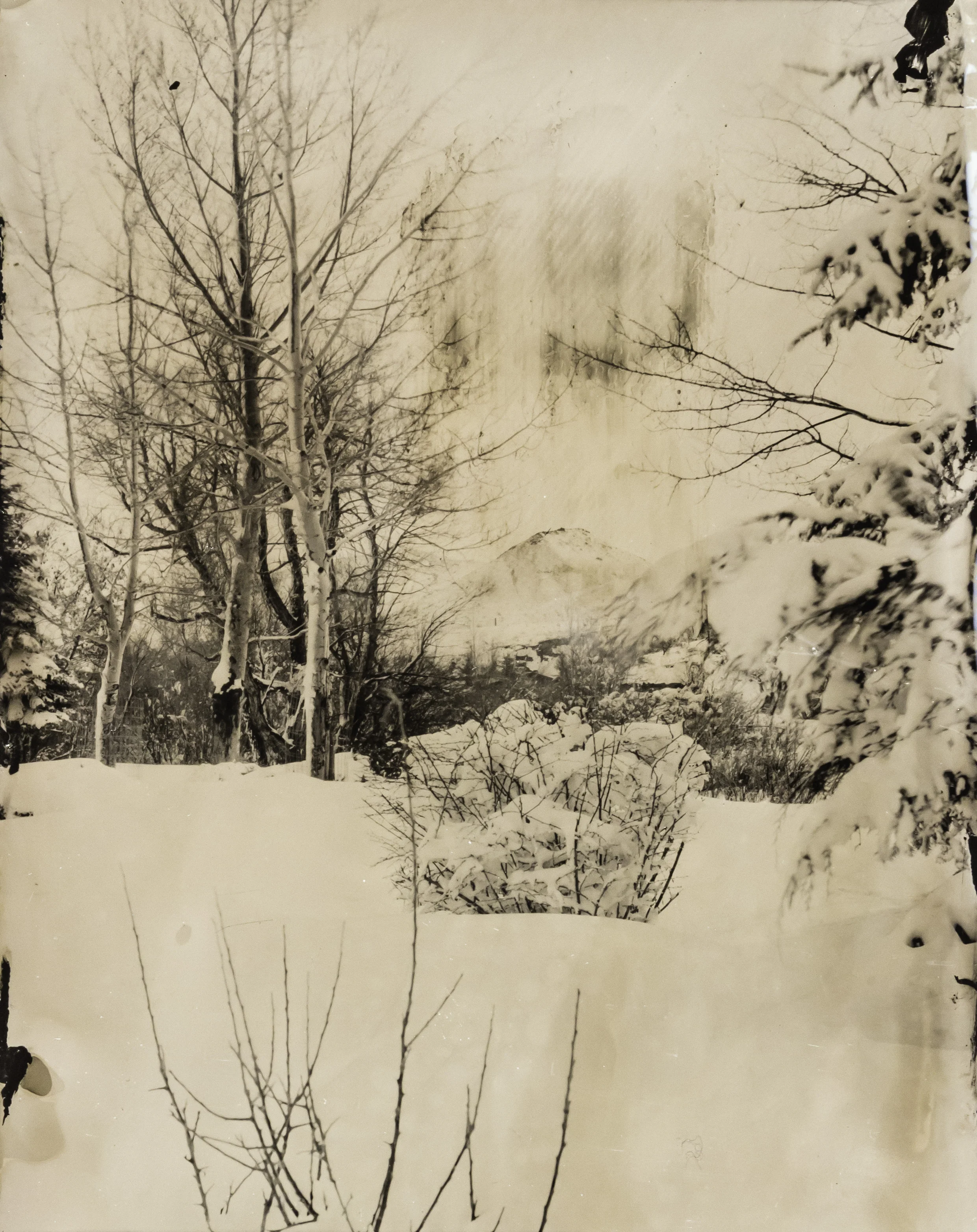 WY collodion 43.jpg
