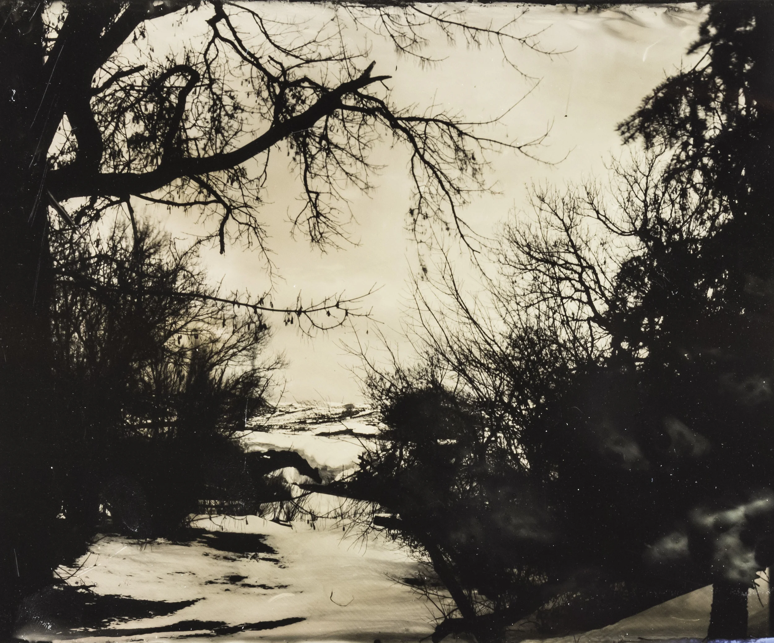 WY collodion 47.jpg