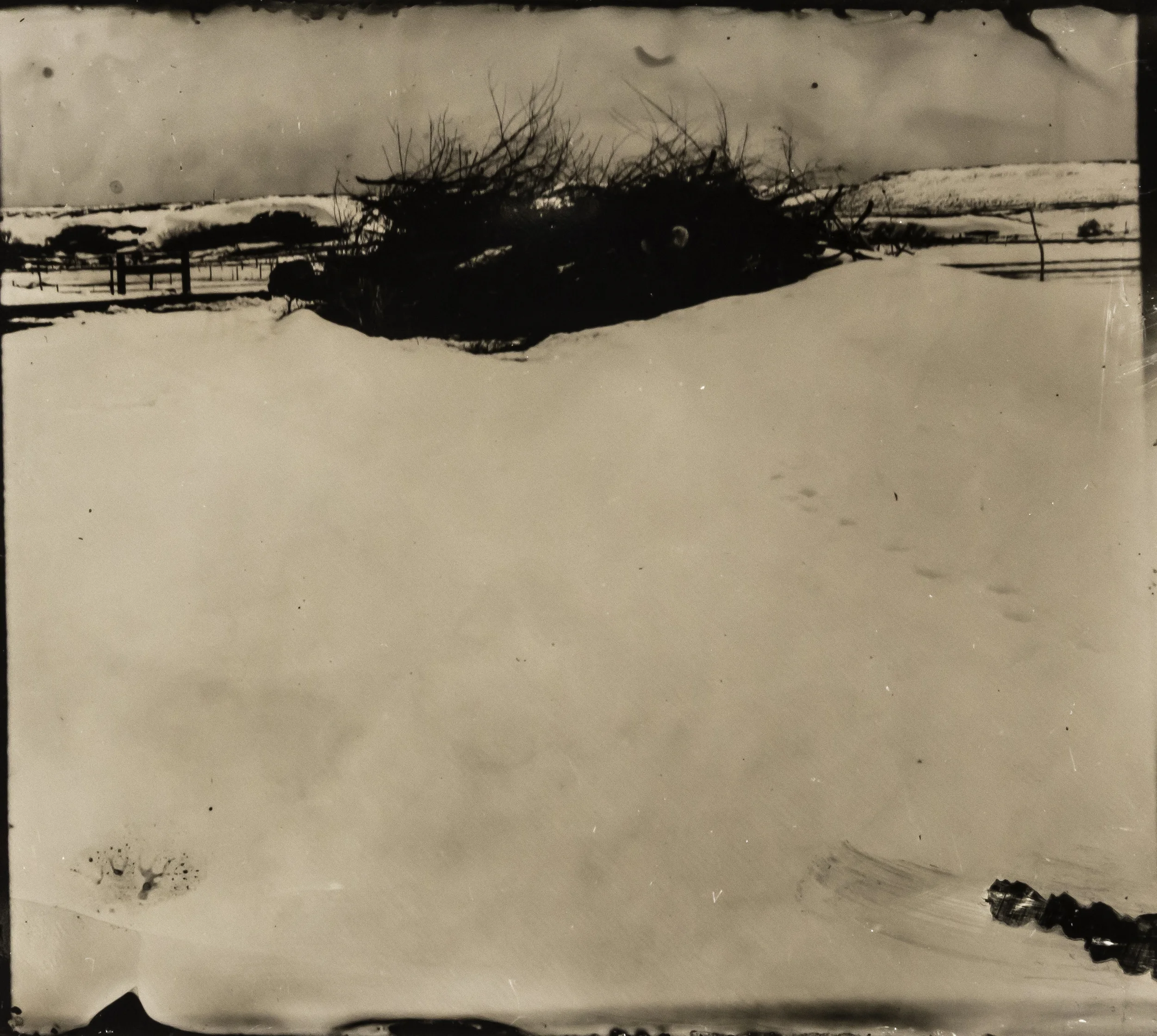 WY collodion 49.jpg