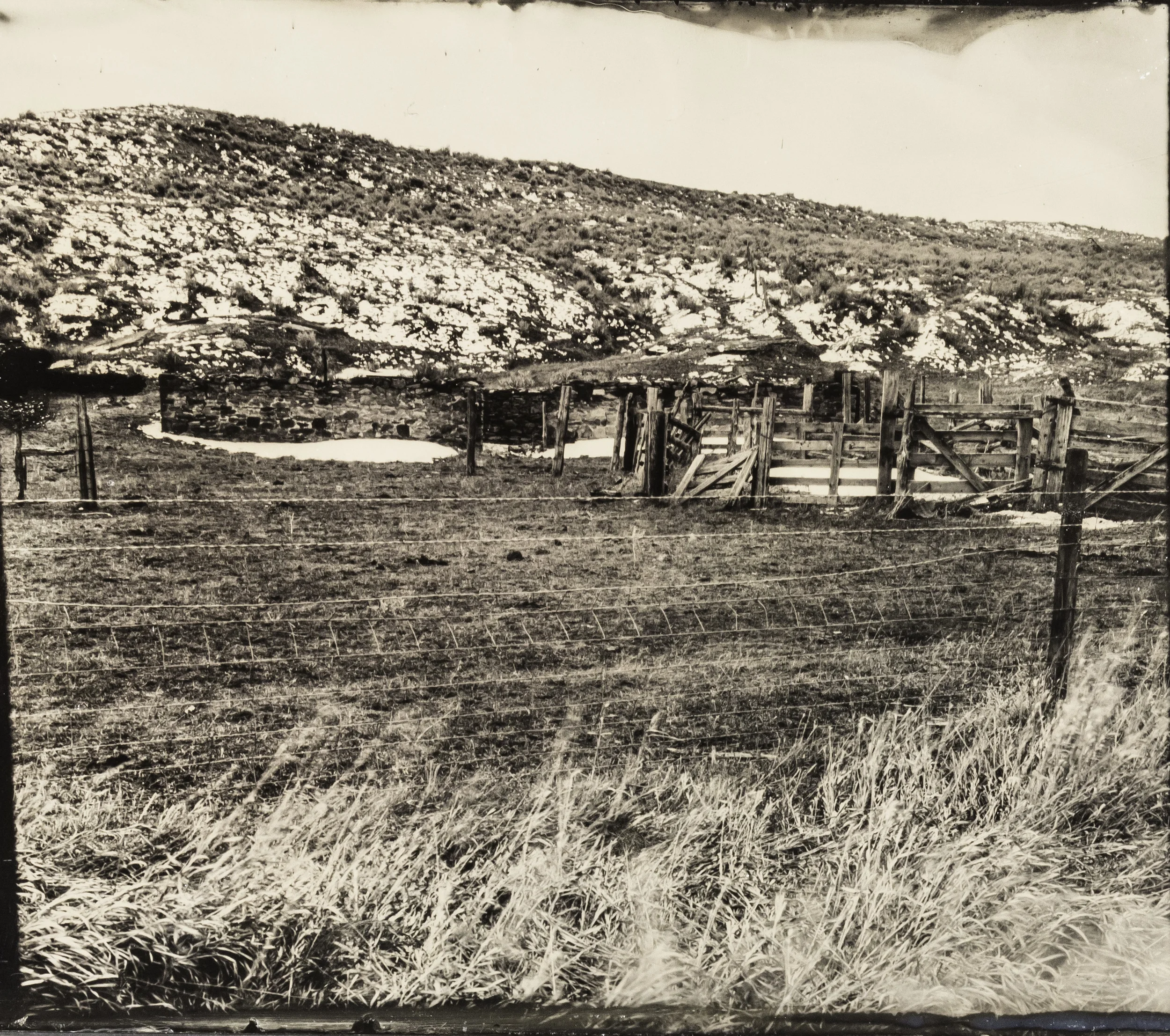 WY collodion 48.jpg