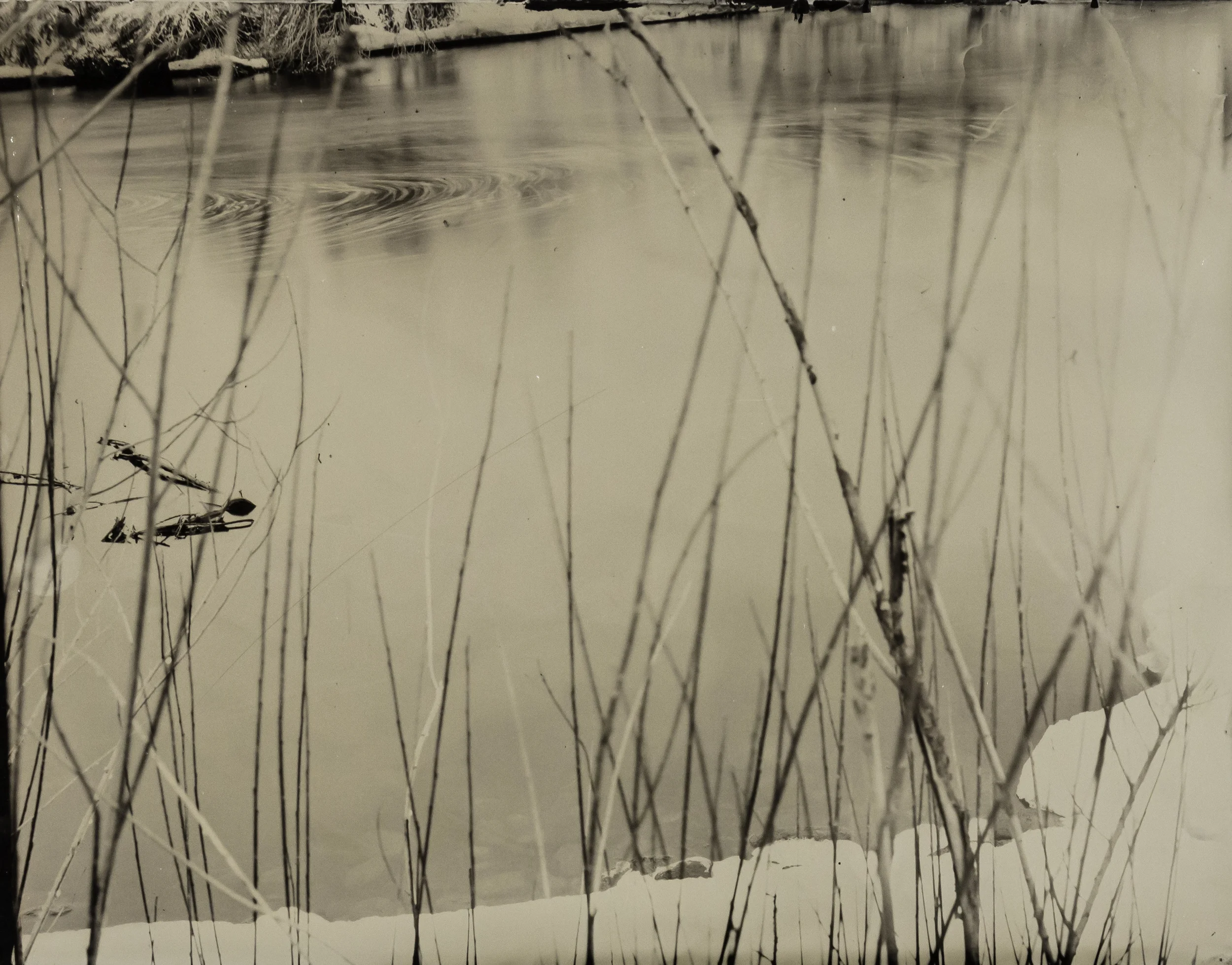 WY collodion 55.jpg