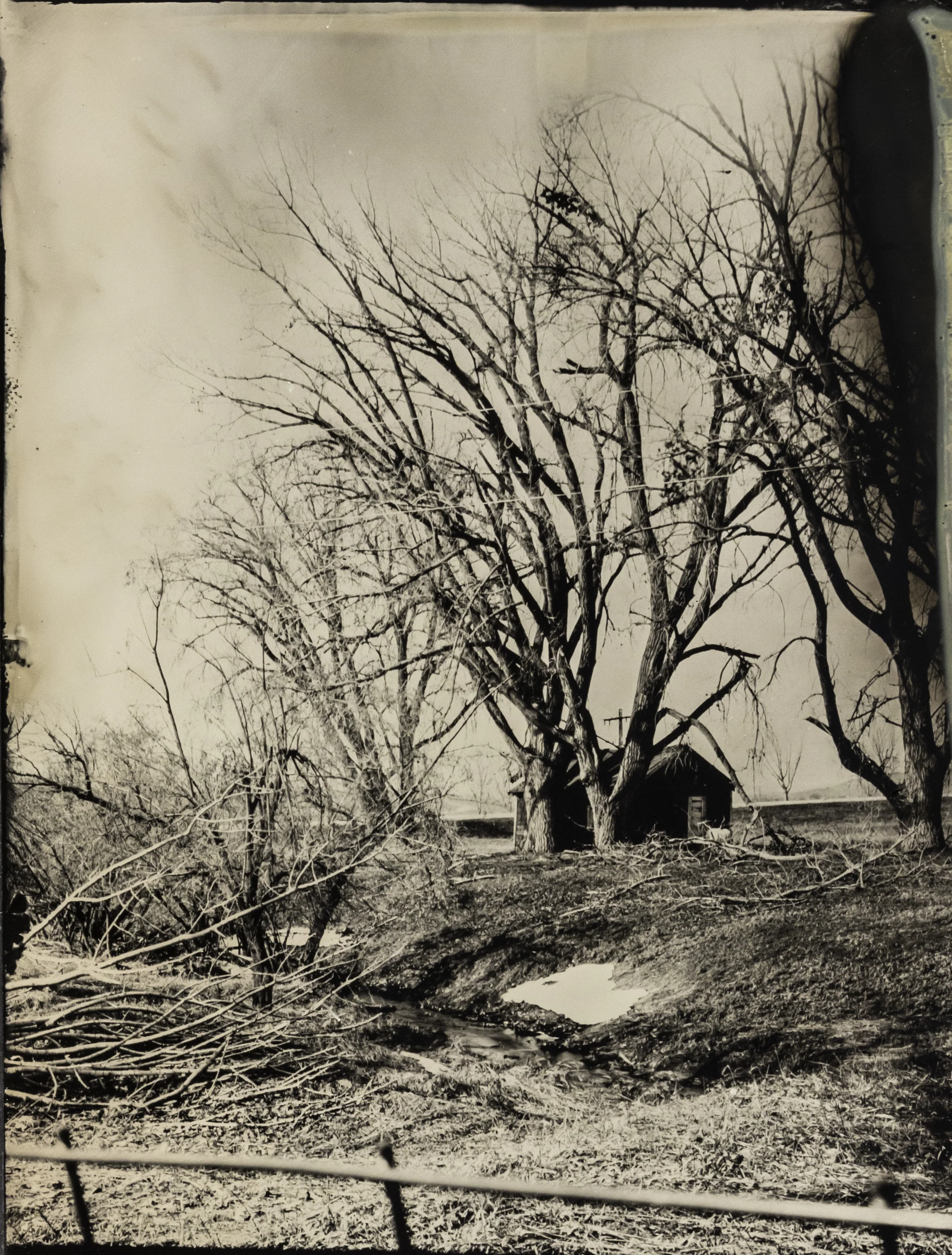 WY collodion 57.jpg