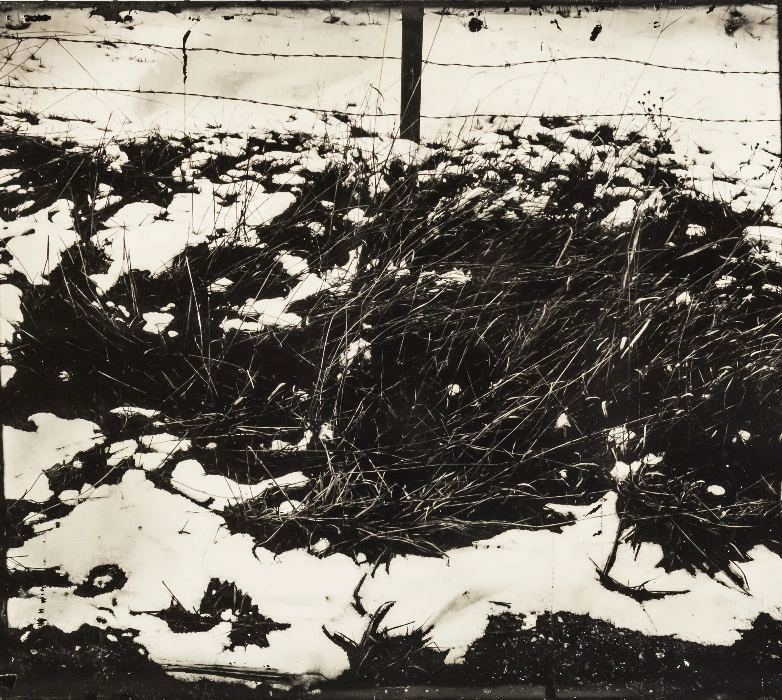 WY collodion 58.jpg