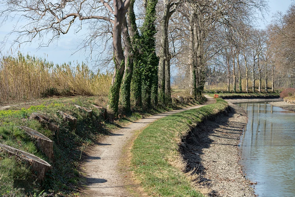 Berges du canal vers Régimont-le-haut