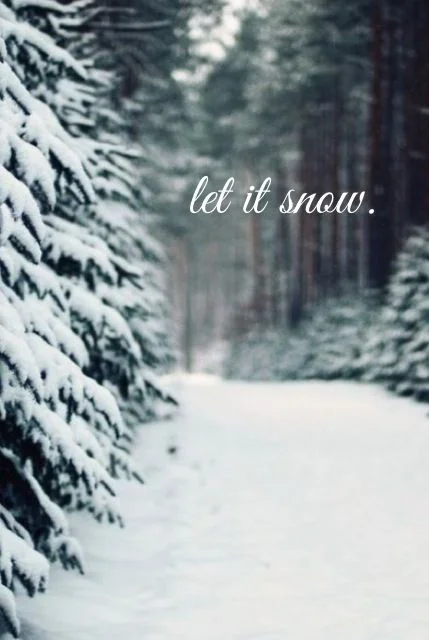 What's New for Winter Holiday!