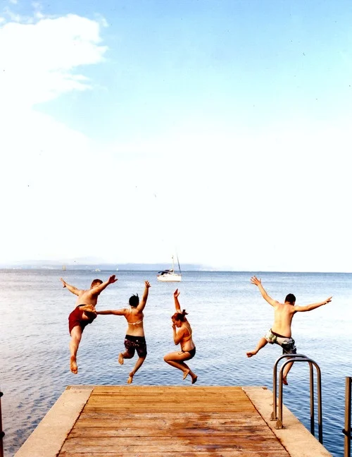 Summer Newsletter is here!