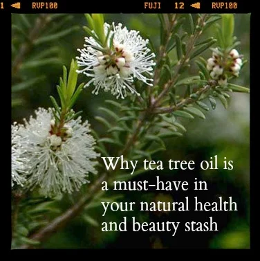 Skin Deep: Tea Tree Oil