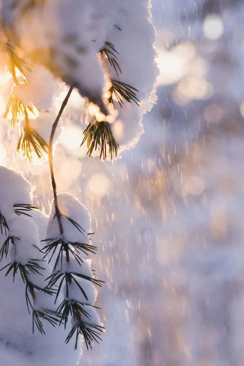 Winter Holiday 2016 - What's New