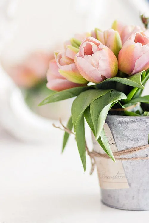 What's New for Spring 2017