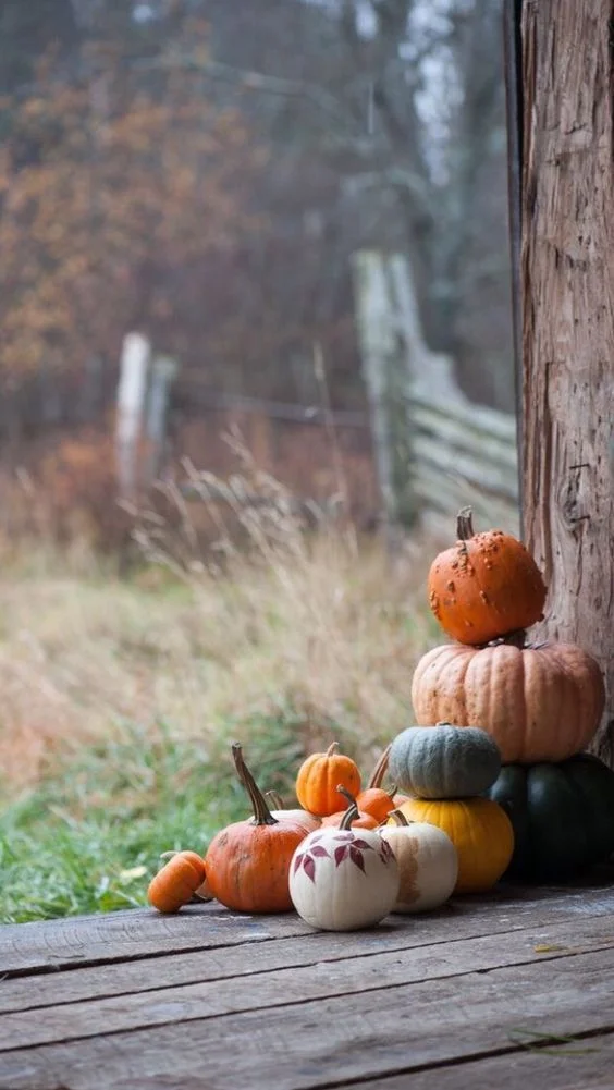 Temporarily Closed For Oct - Last Call This Weekend!