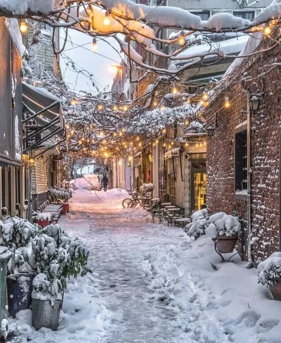 Winter Holiday 2020