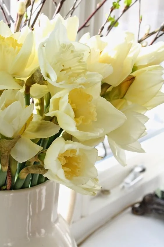 Spring is Sproinging!