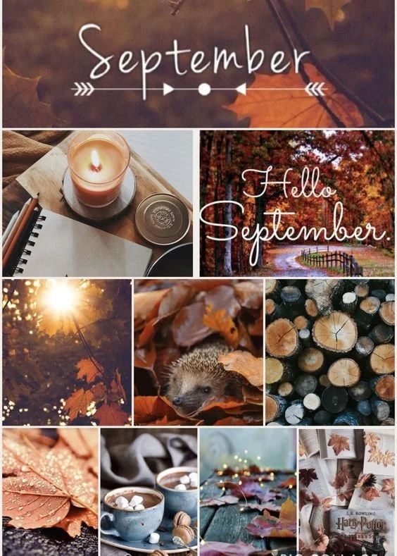 All The Fall Feels - For Your Shower