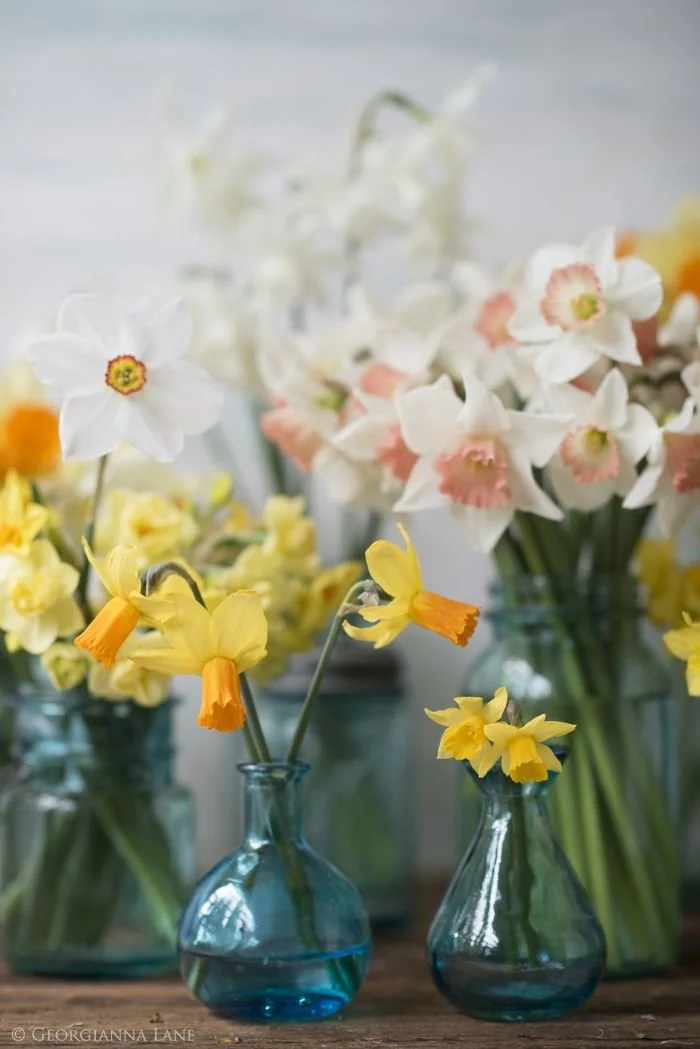 Spring Cleaning