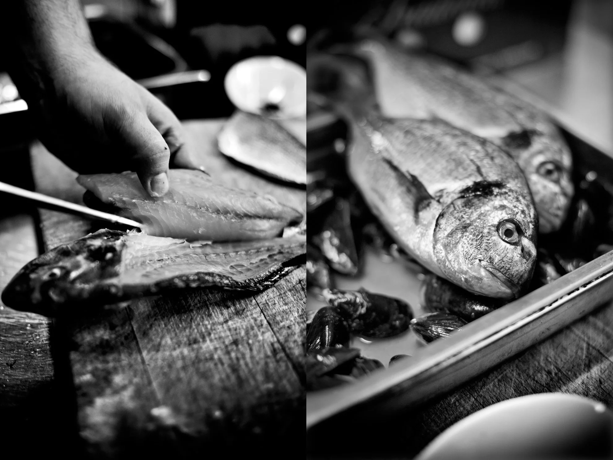 food_14.jpg