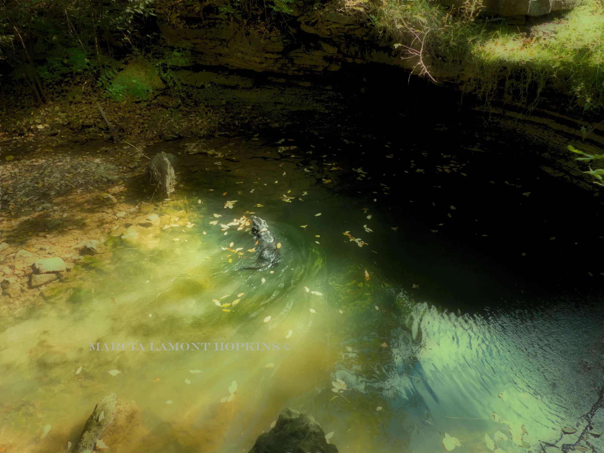 Jesse-swimming-at-Brocks-Lake copy.jpg