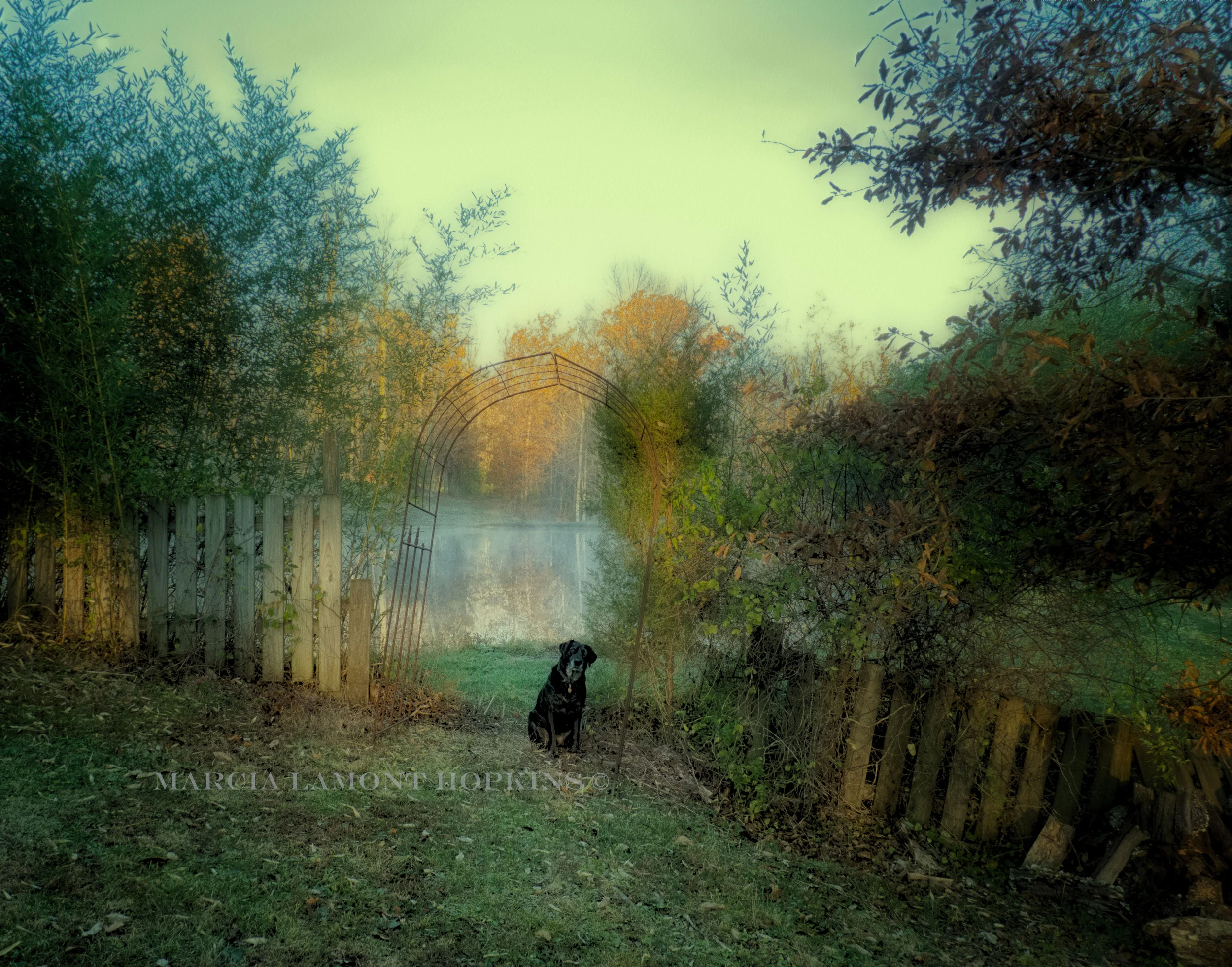 Jesse-leaning copy.jpg