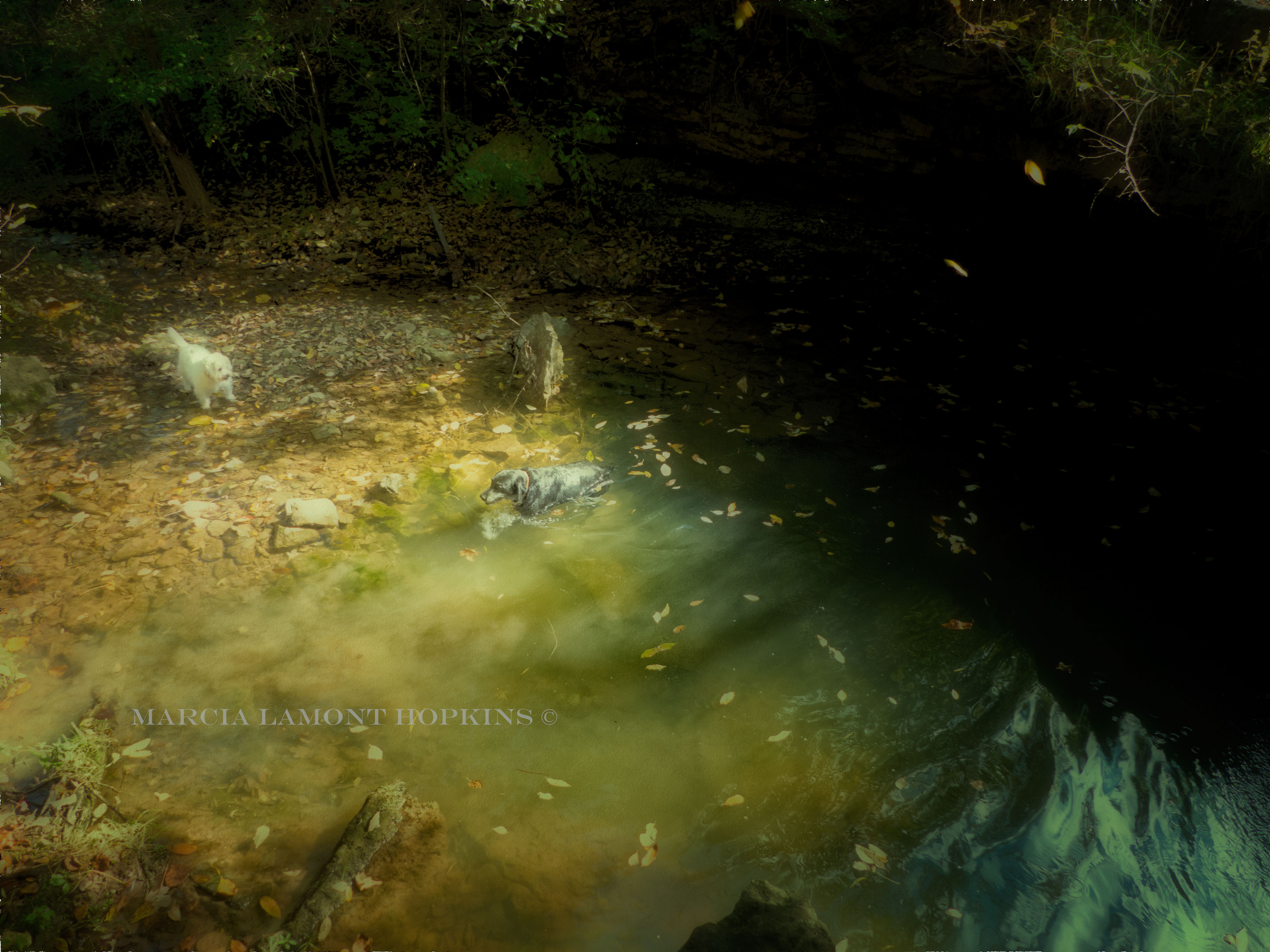 Jes-and-Pete-Brock's-Lake copy.jpg