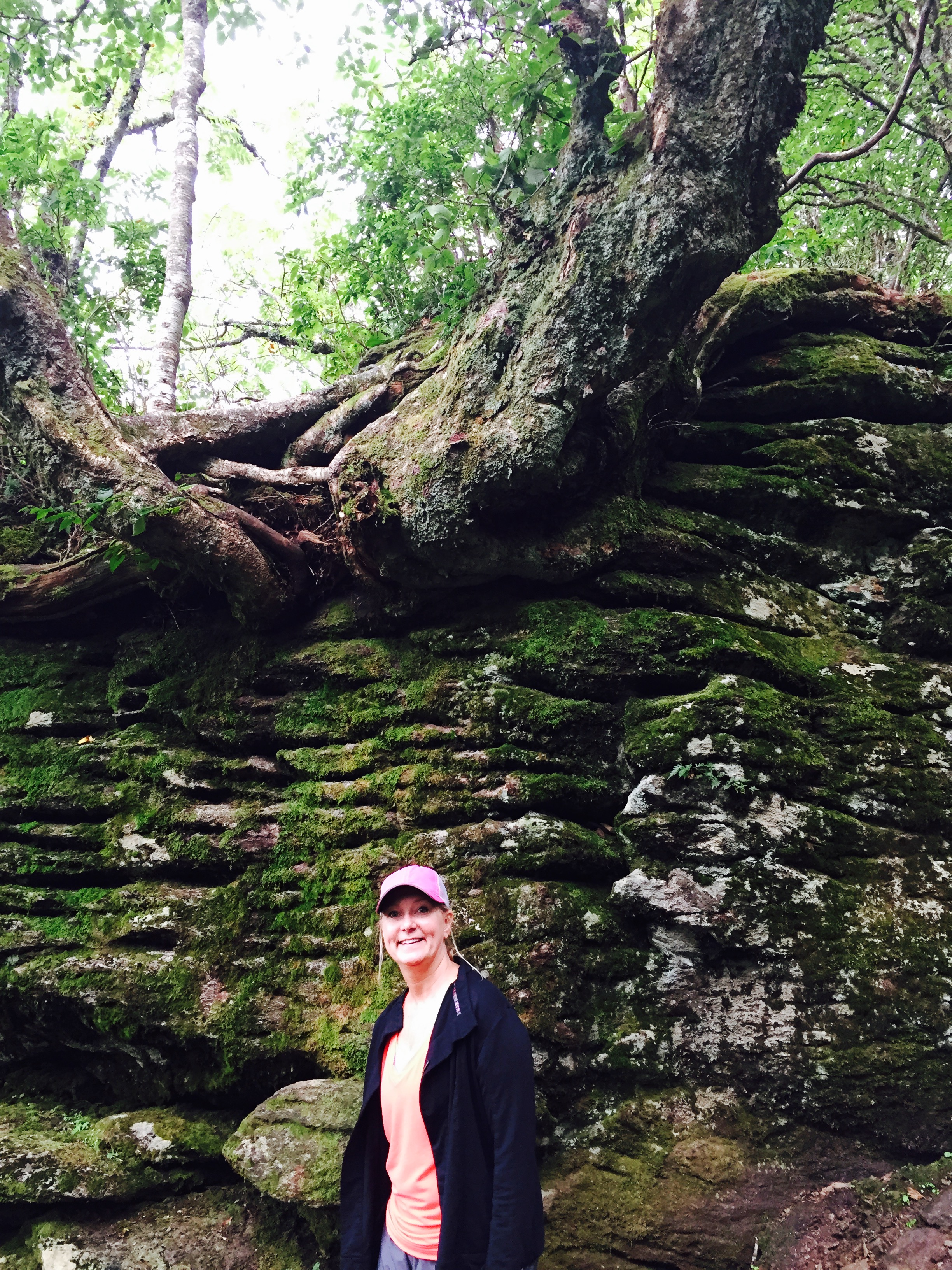 Hiking