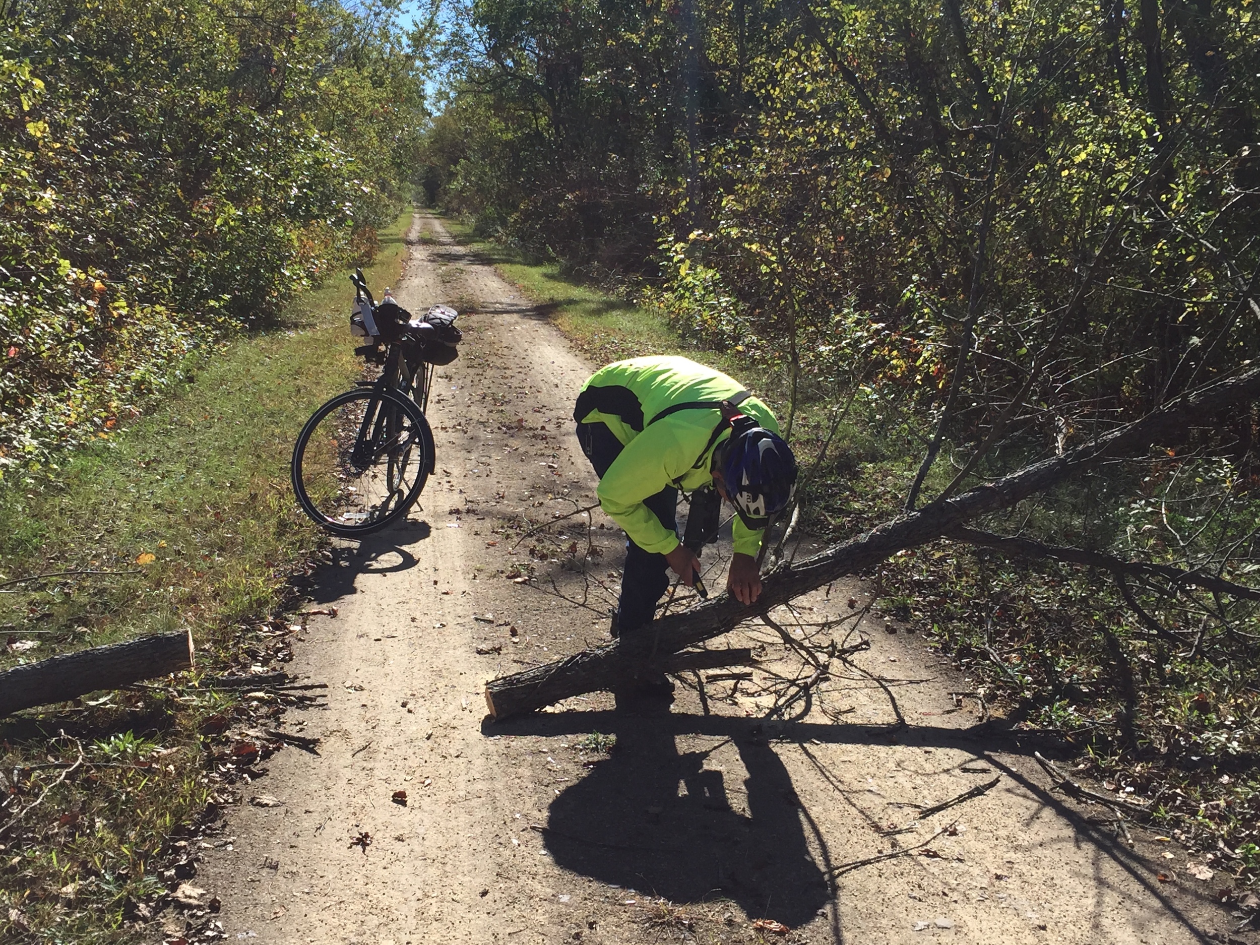 Tree down - Glen to the rescue