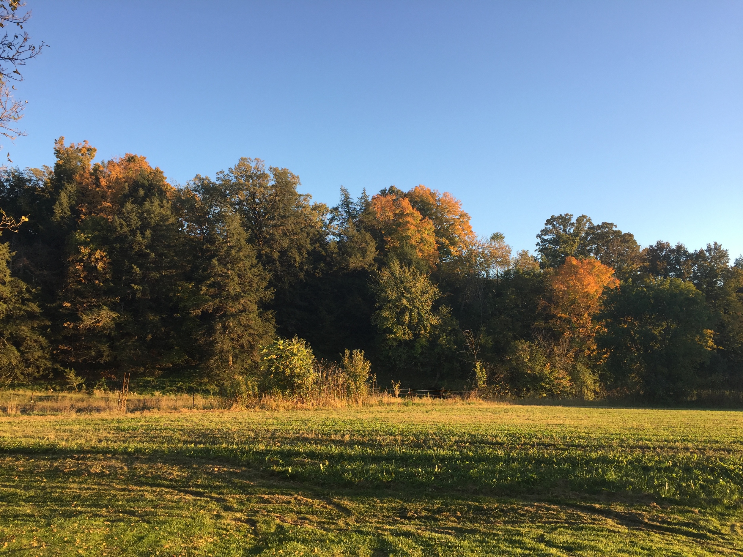 Morning in Wilton