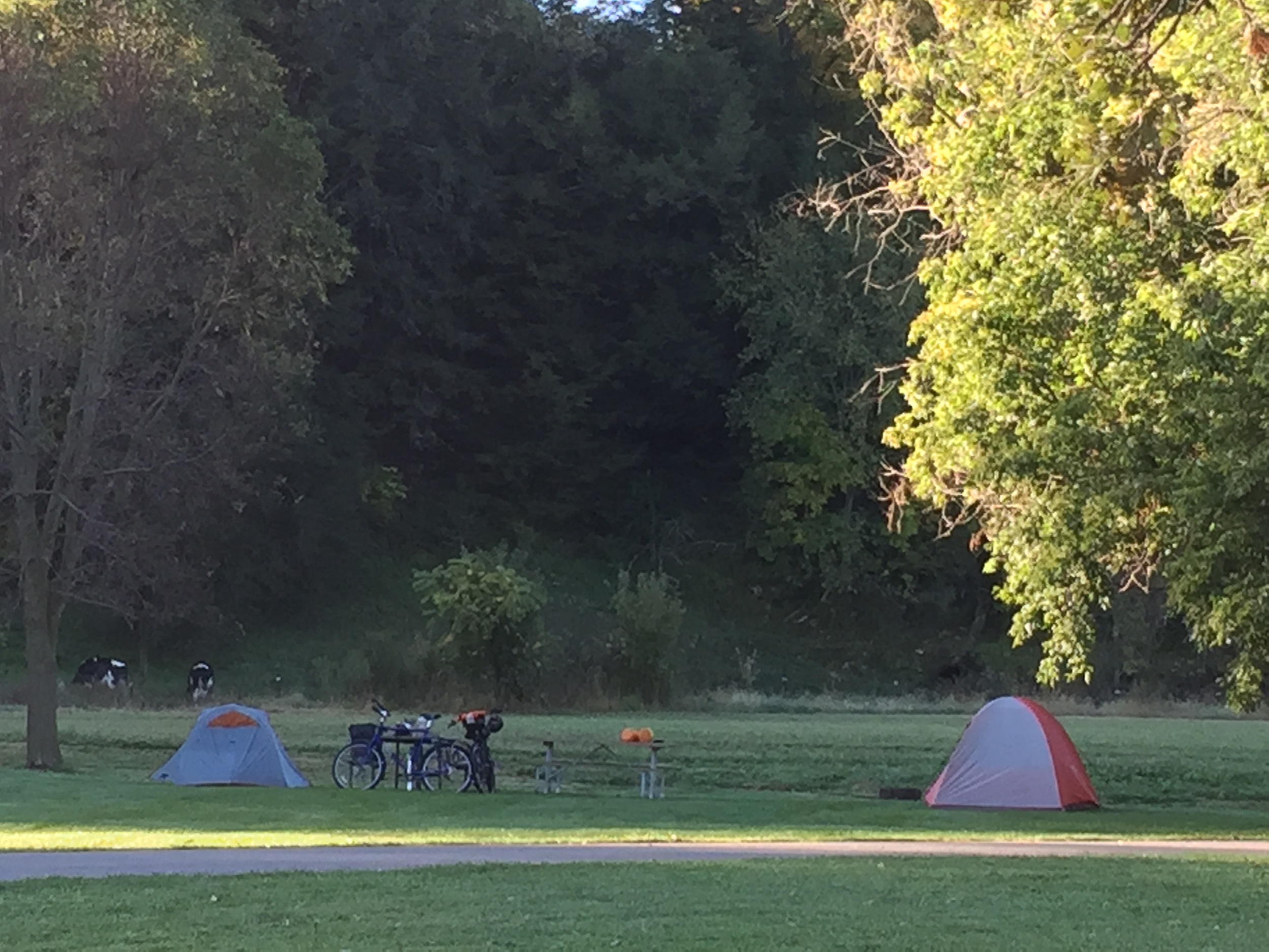 Wilton Campsite