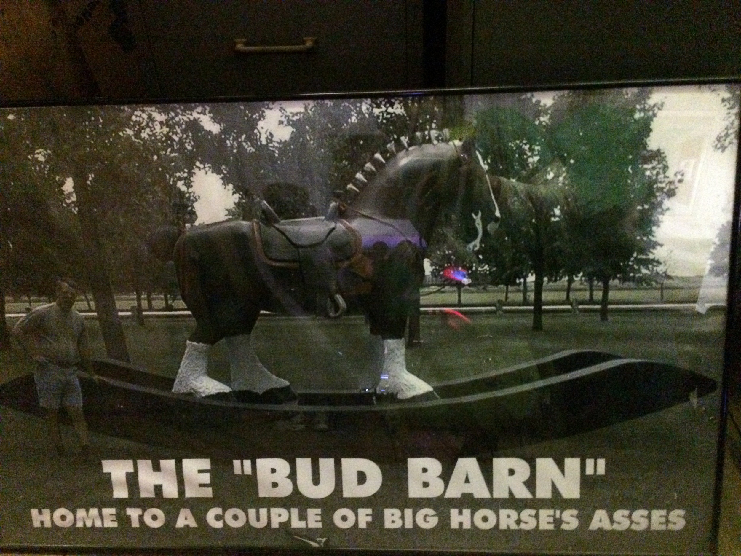 FW: Bud Bar!