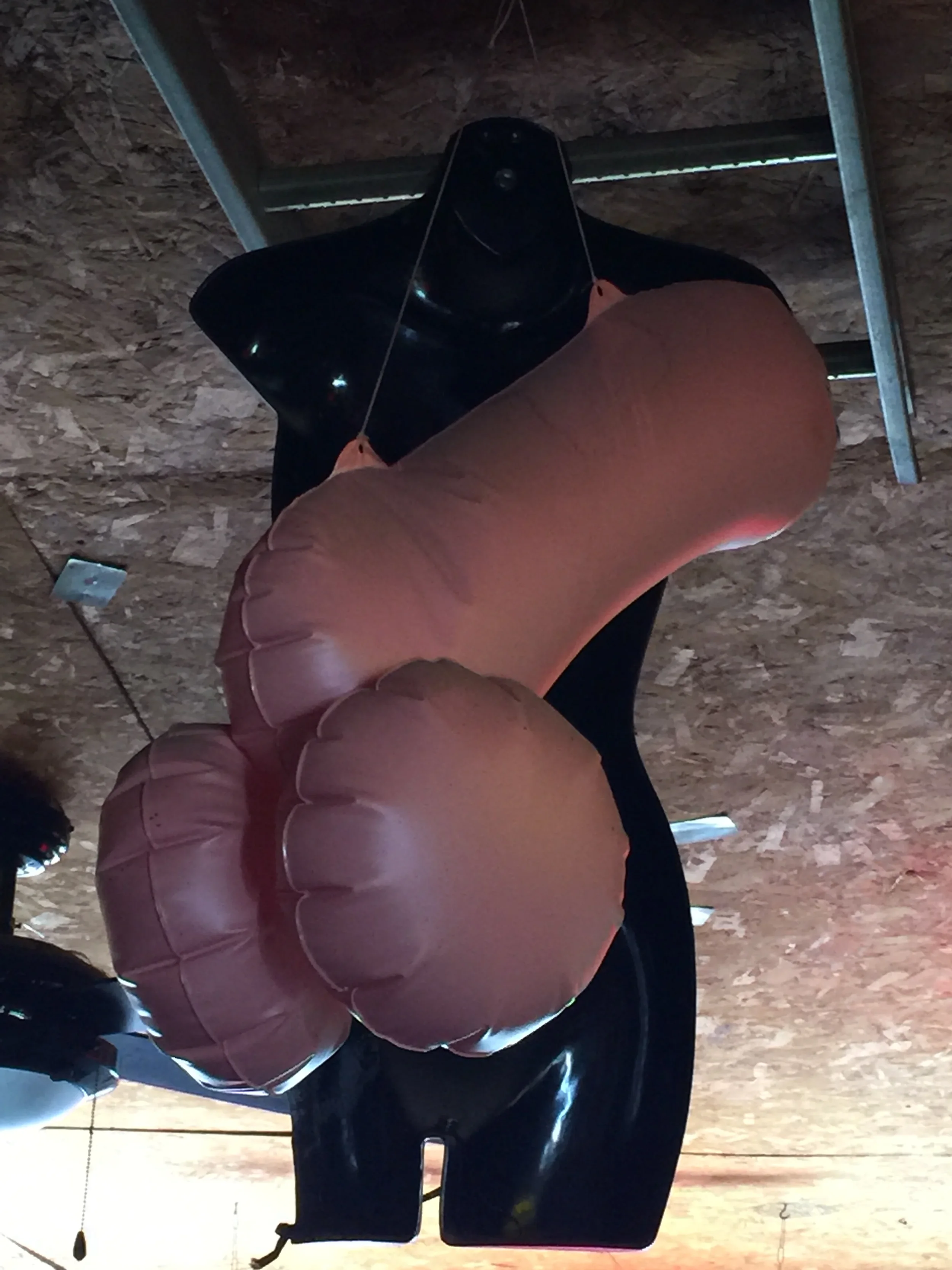 image-asset (83).webp