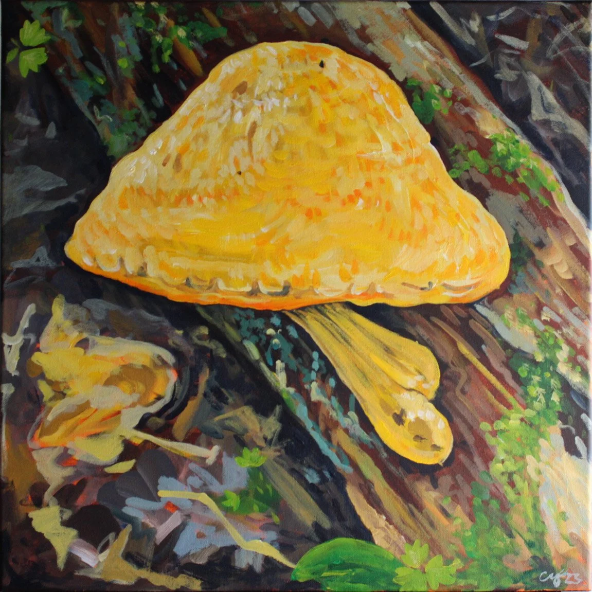 King Bolete