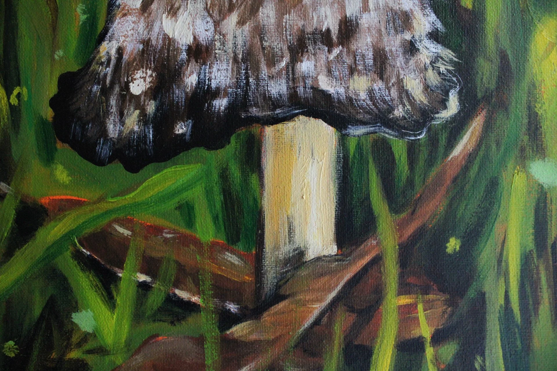 Shaggy Mane - detail.jpg