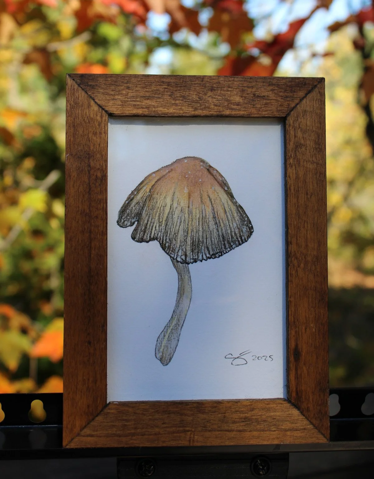 Mica Cap - in situ.jpg