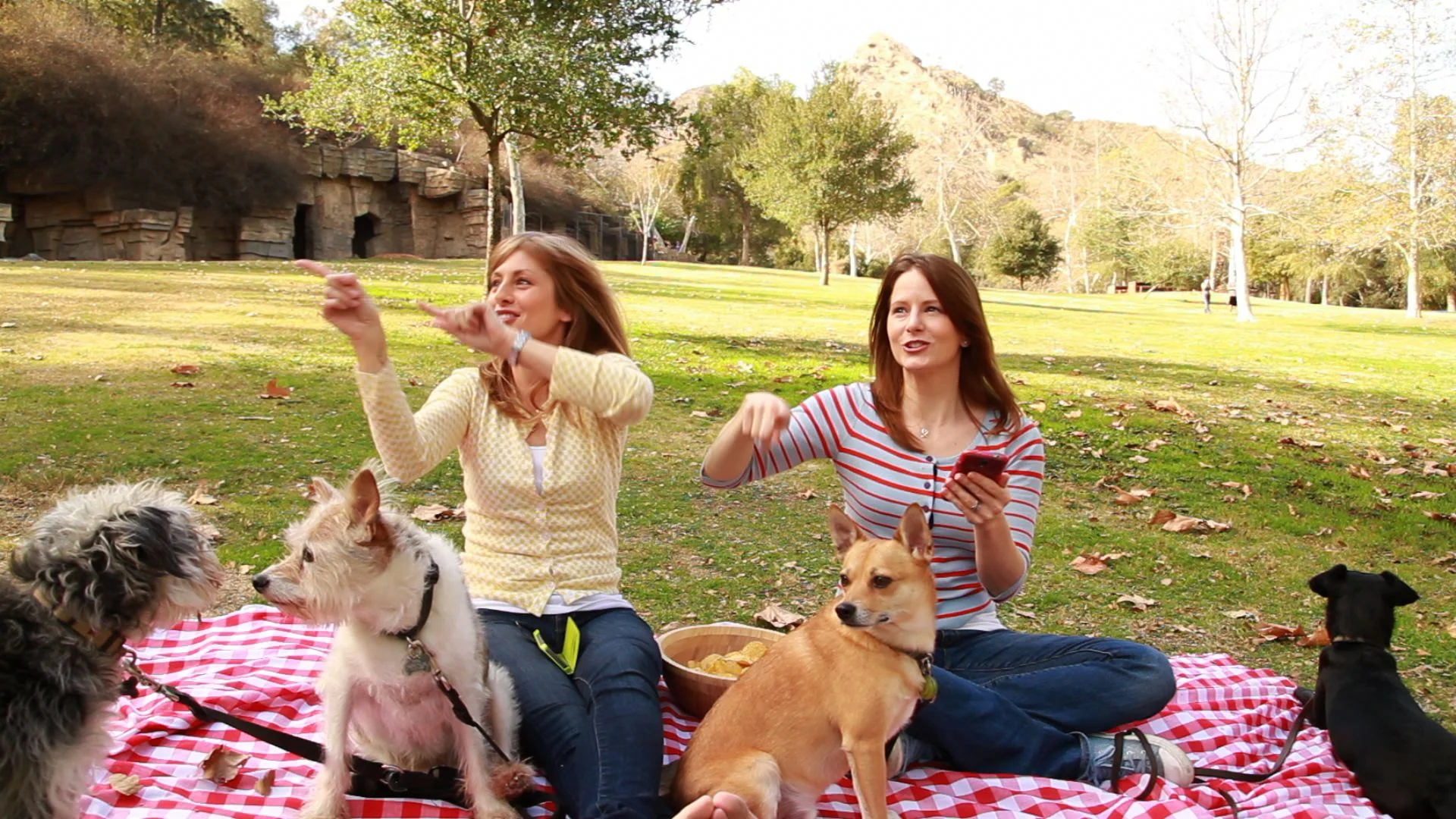 Picnic MVI_4296.jpg