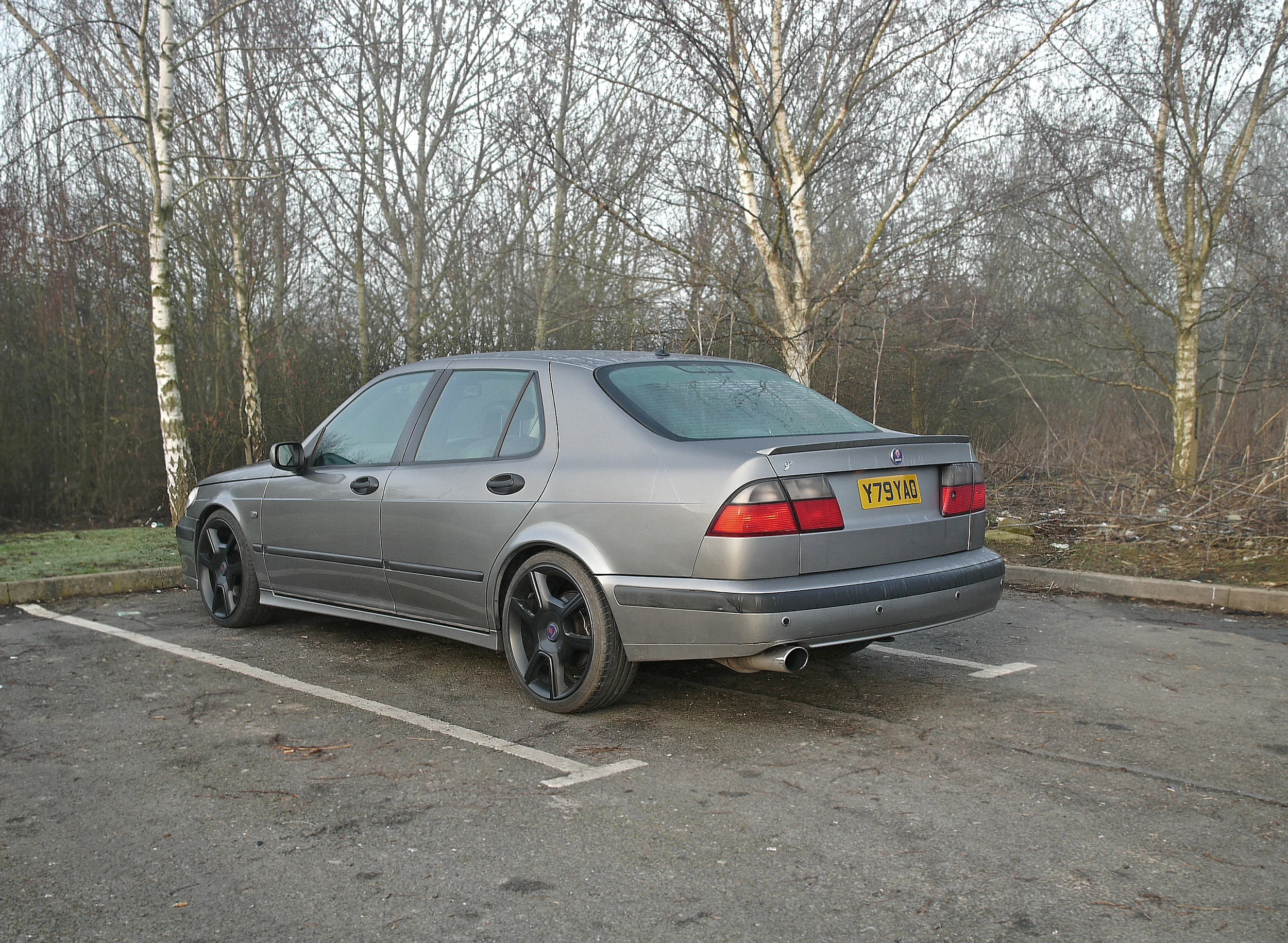 Saab 9-5_Morning After 3.jpg