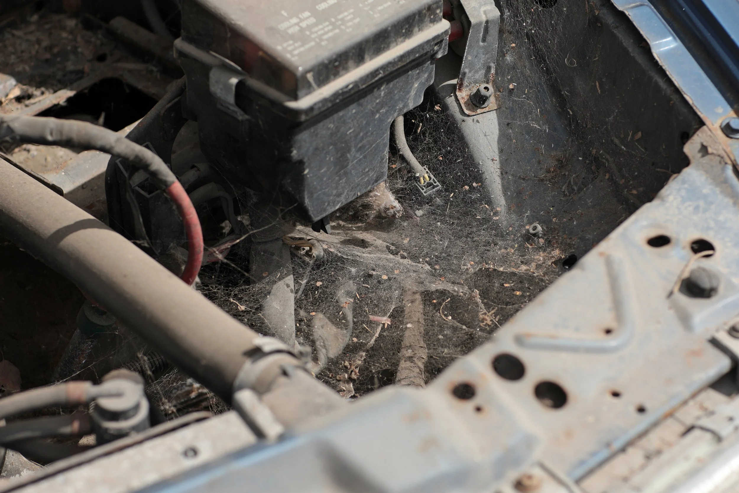 9000 Parts Road Trip_Landscape-_0008_Layer 9.jpg