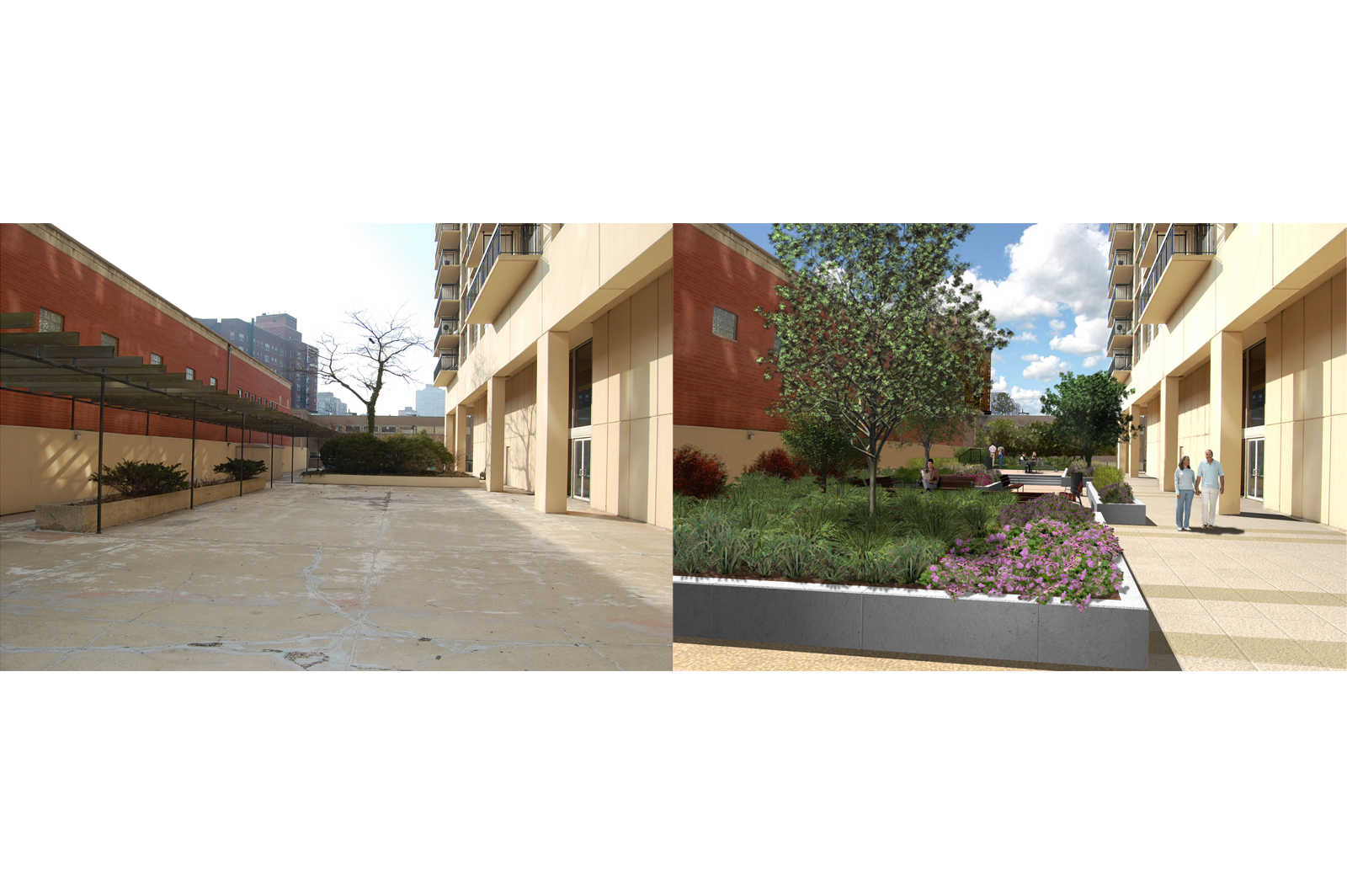 View South - before after.png