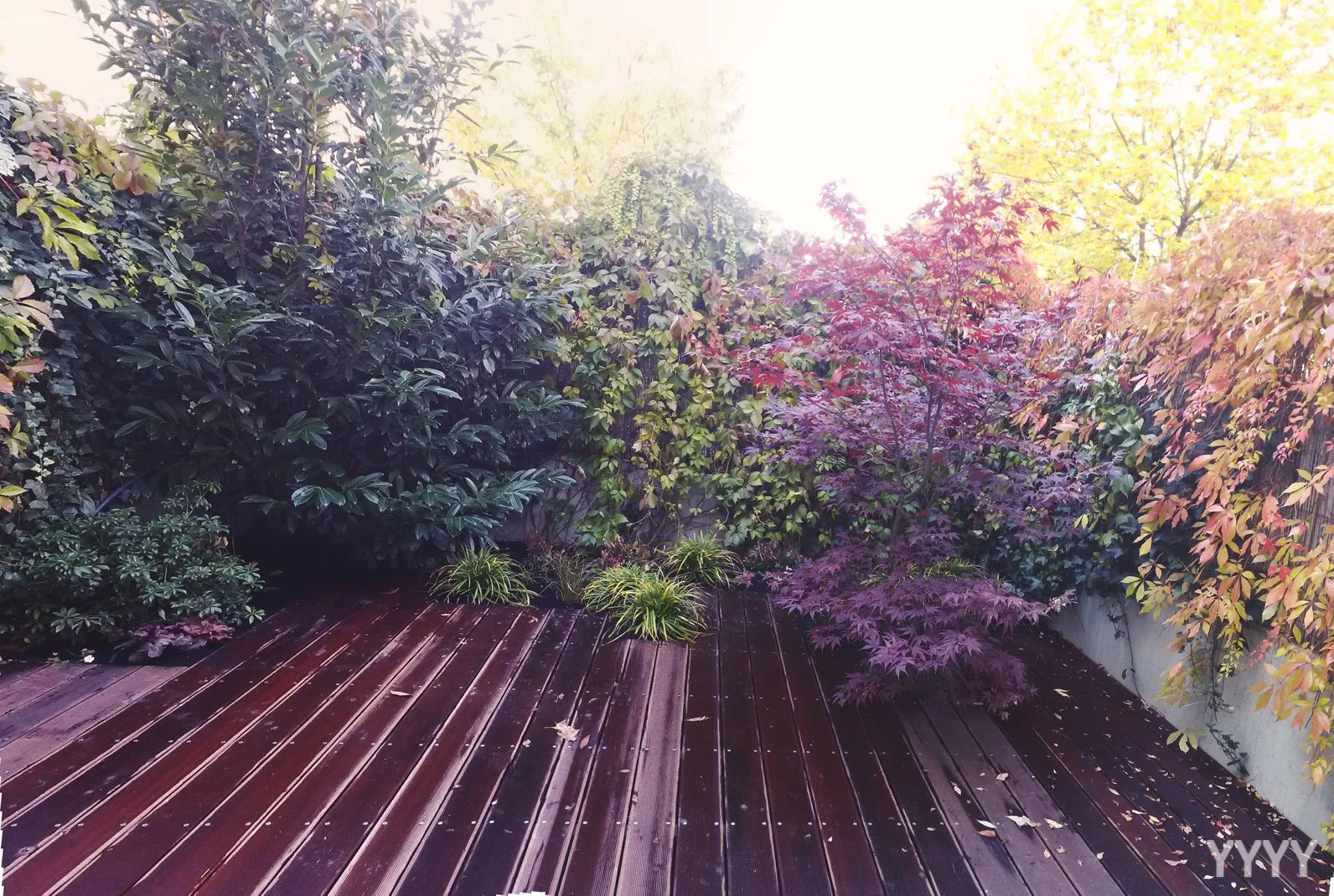 Malá zahrada by měla obsahovat jen to nejdůležitější a být dotažená do posledního detailu. (zahrada na rozloze 40m2)