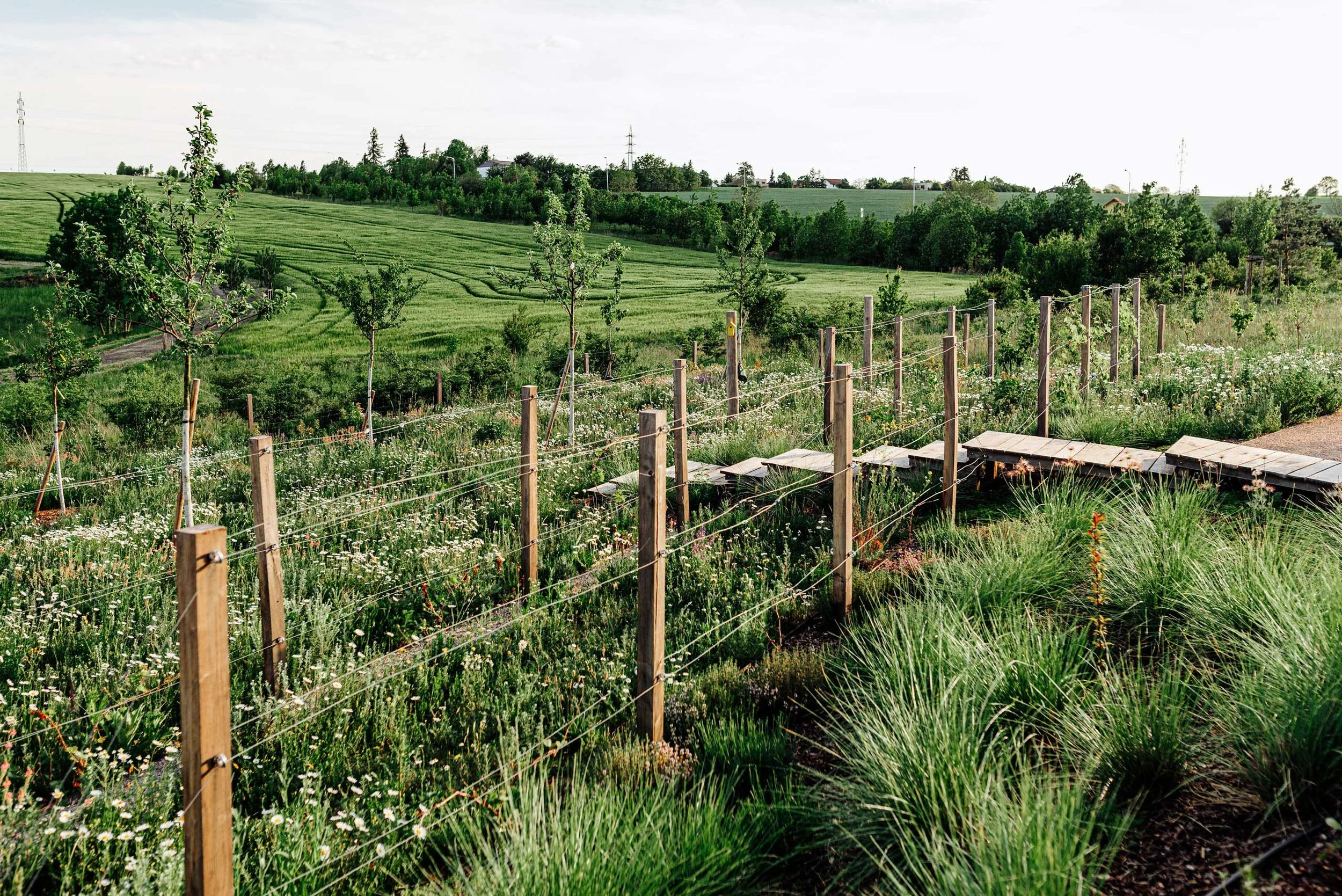 slivenec-vinice-zahrada-louka-ovocne-stromy.jpg