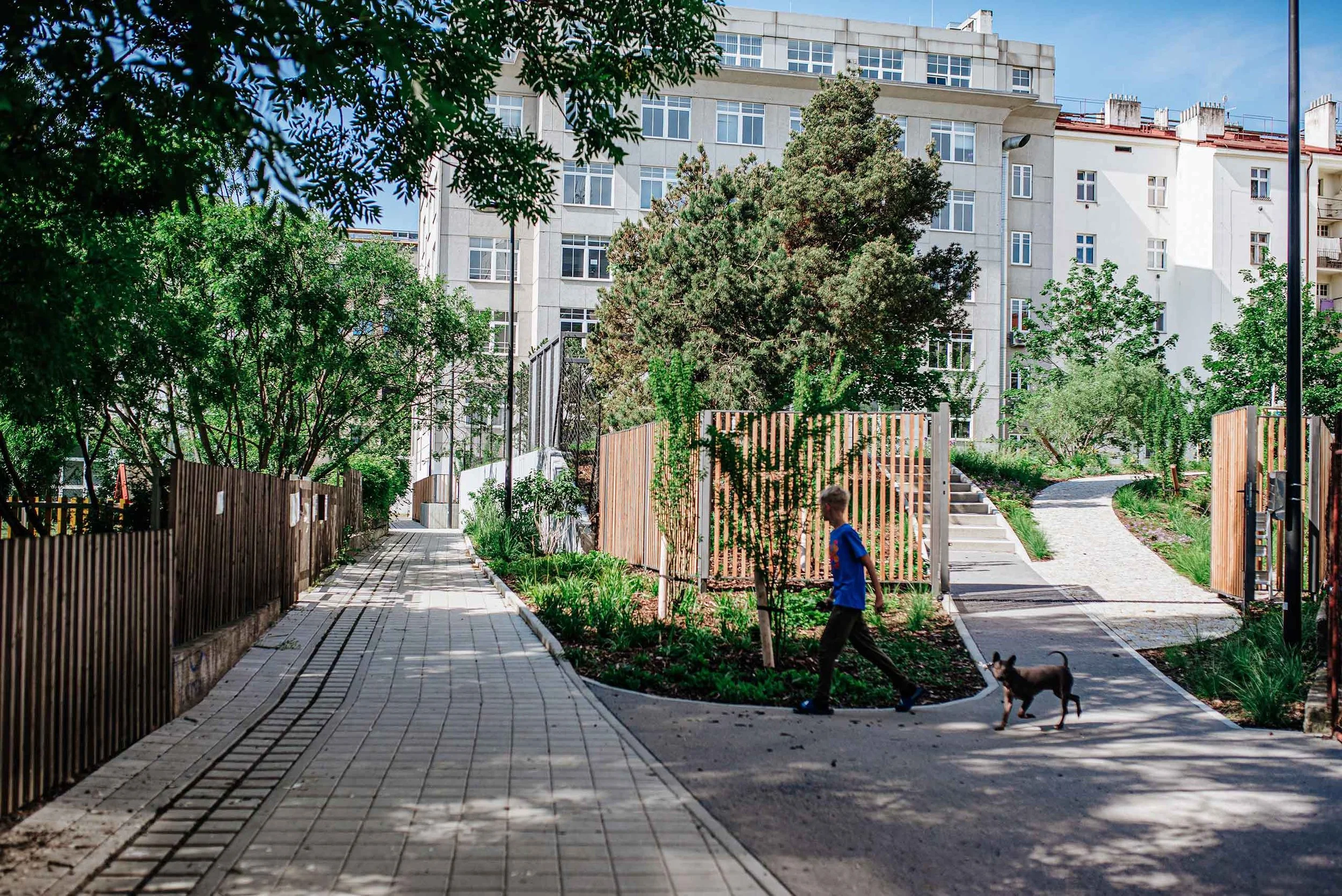 uranie-cesta-asfalt-beton-zahon-plot-dite-pes-vnitroblok-park.jpg